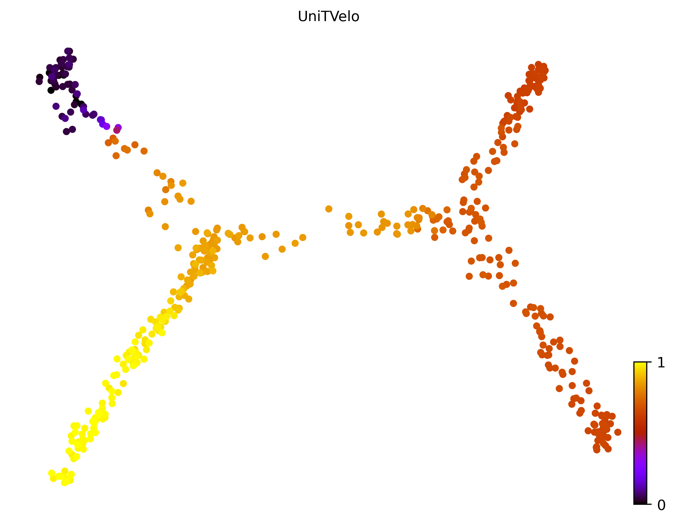 9_consecutive_bifurcating_cell500_gene10000_pseudotime