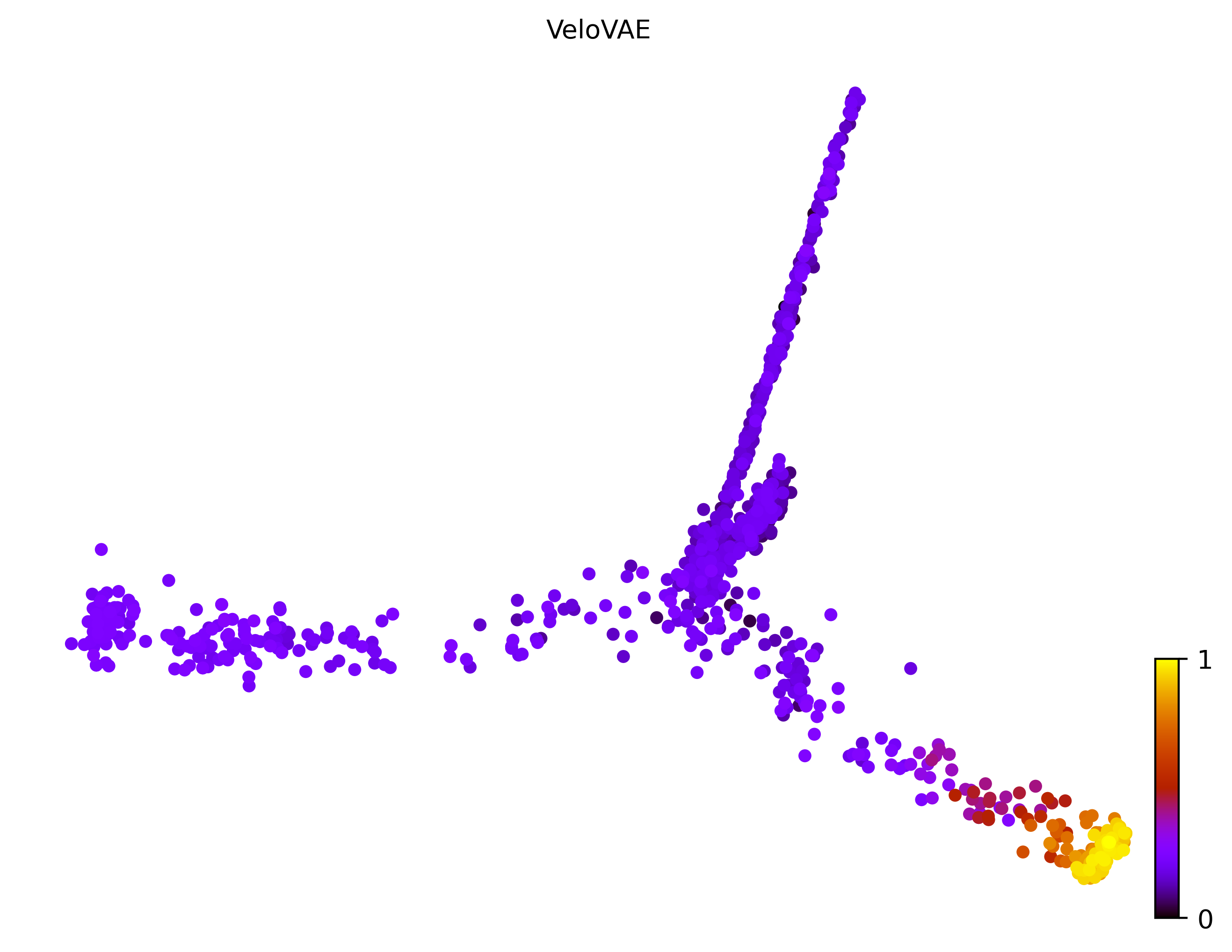12_trifurcating_cell1000_gene10000_pseudotime