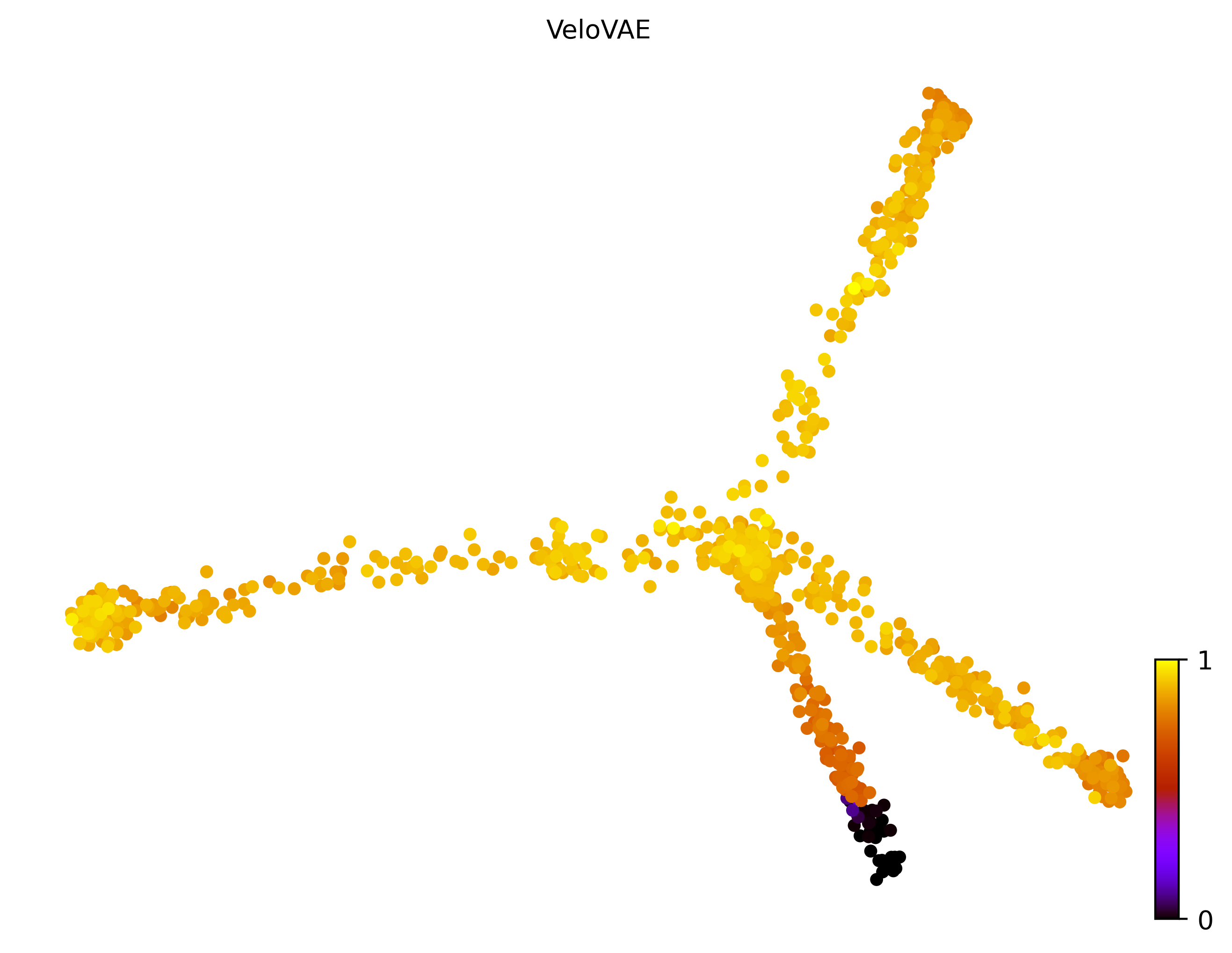 13_trifurcating_cell1000_gene10000_pseudotime