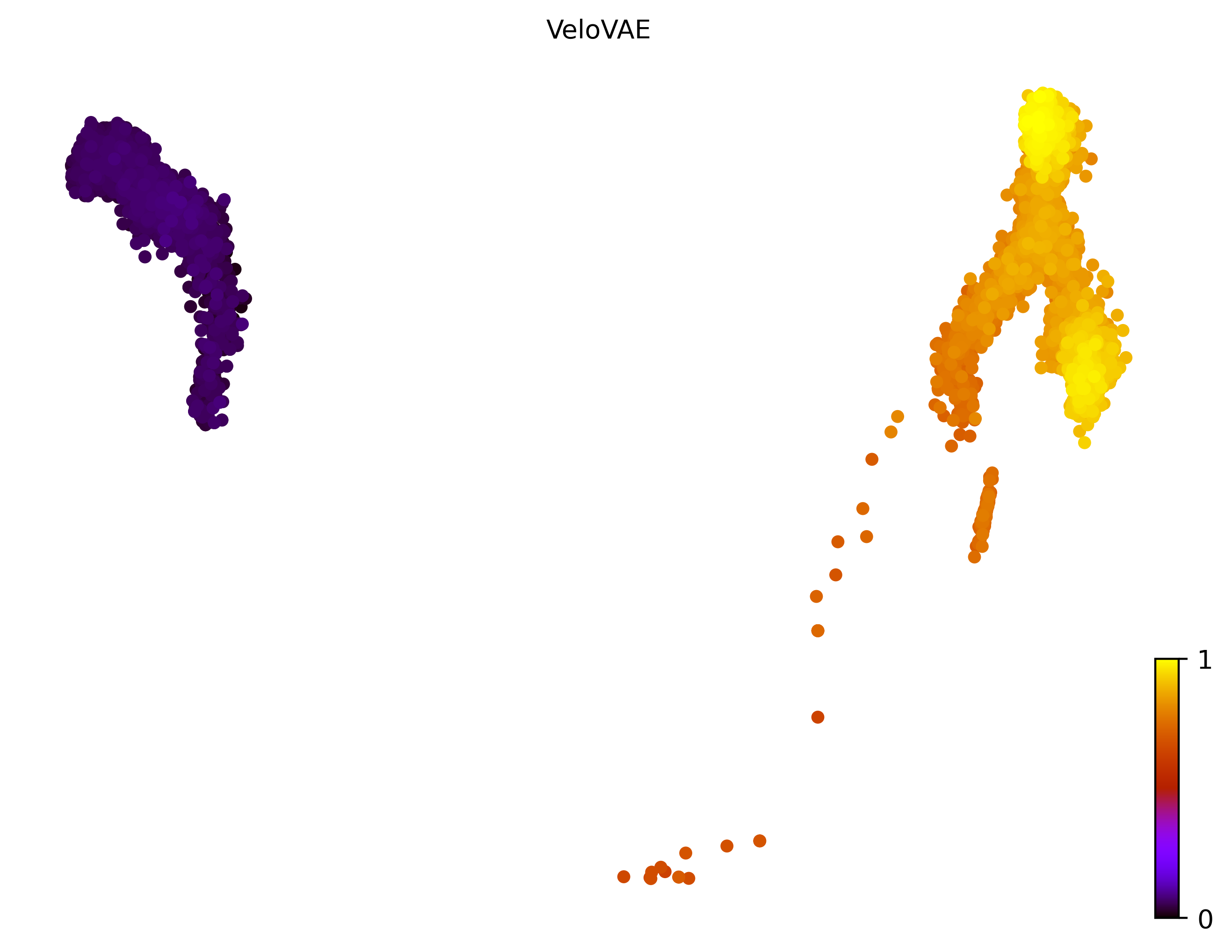 14_linear_bifurcating_cell10000_gene1000_pseudotime
