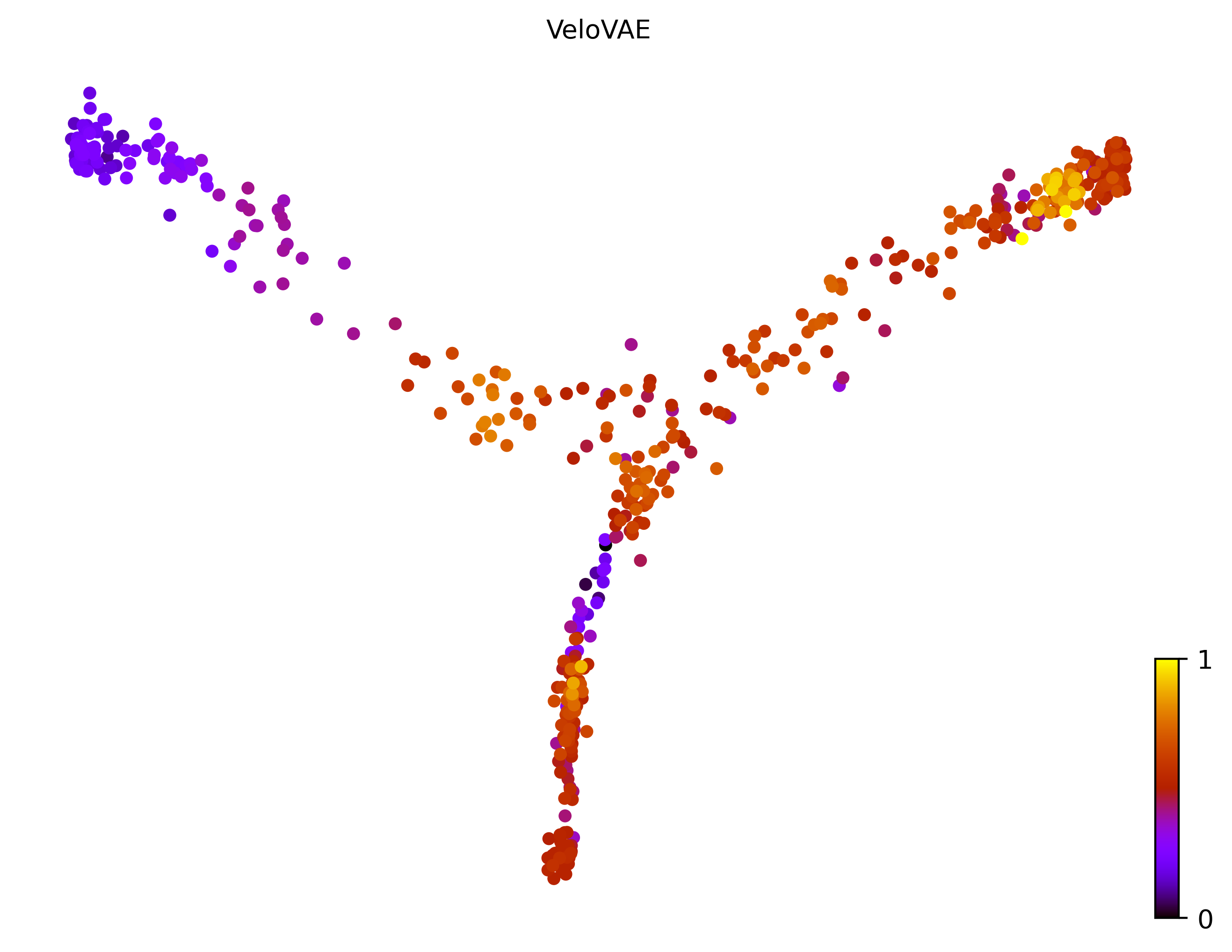 16_bifurcating_cell500_gene500_pseudotime