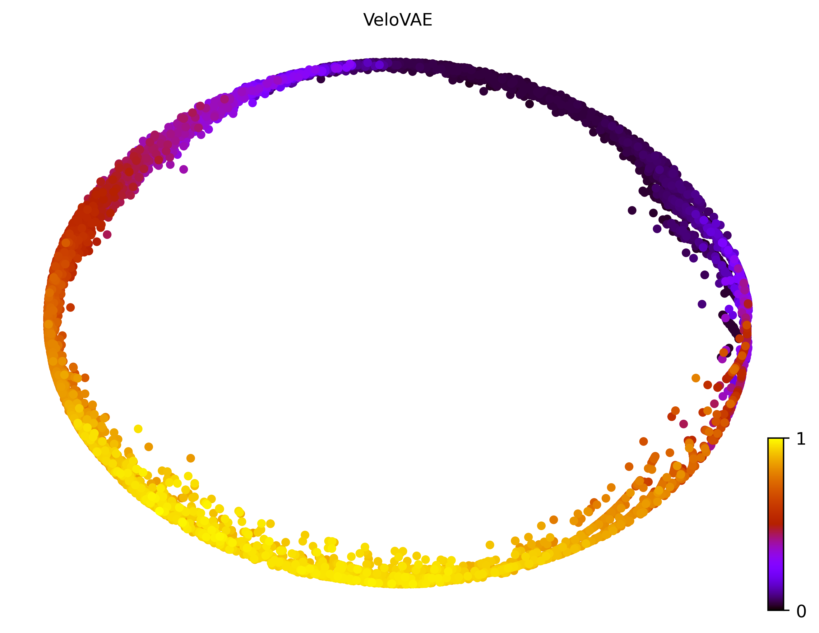 3_cycle_simple_cell10000_gene1000_pseudotime