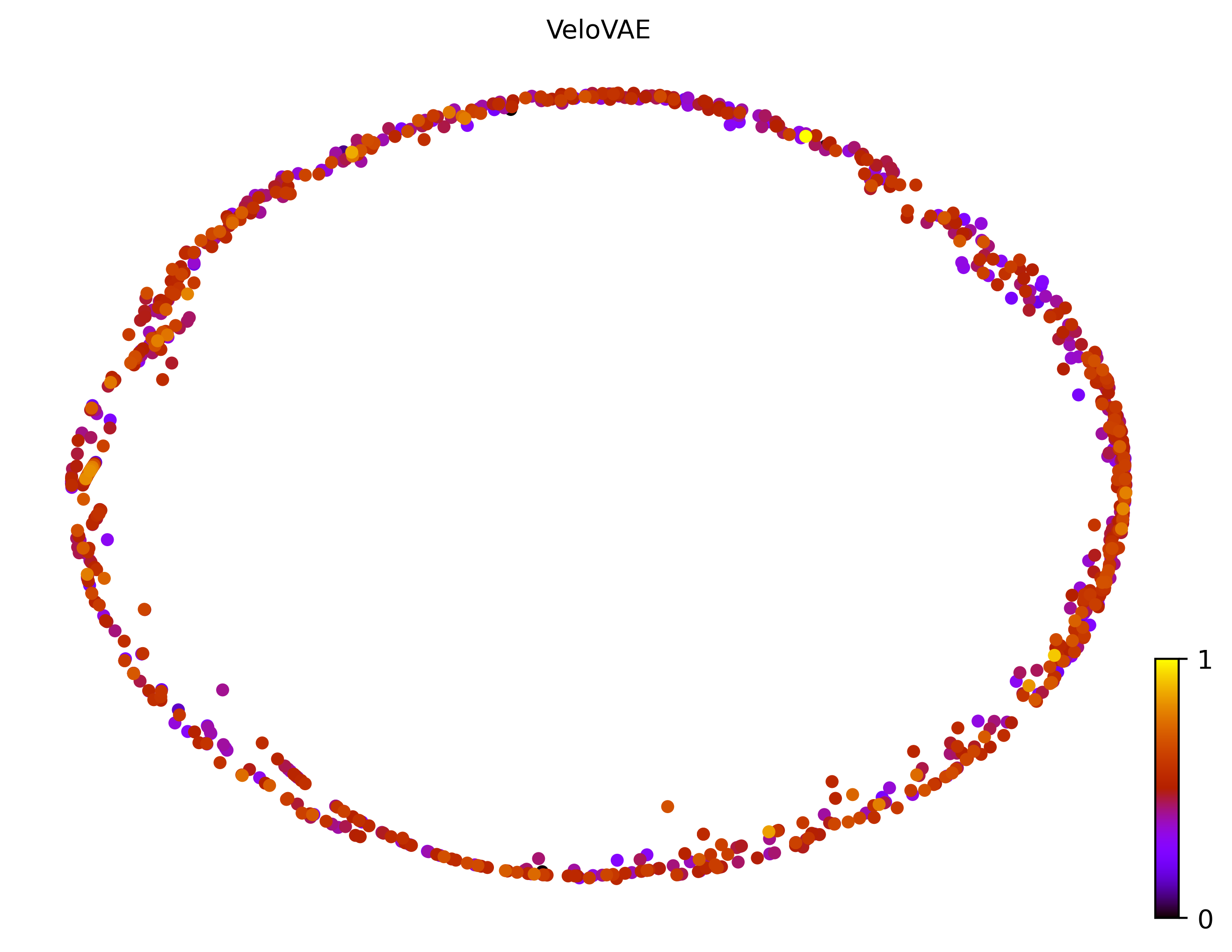 4_cycle_simple_cell1000_gene10000_pseudotime