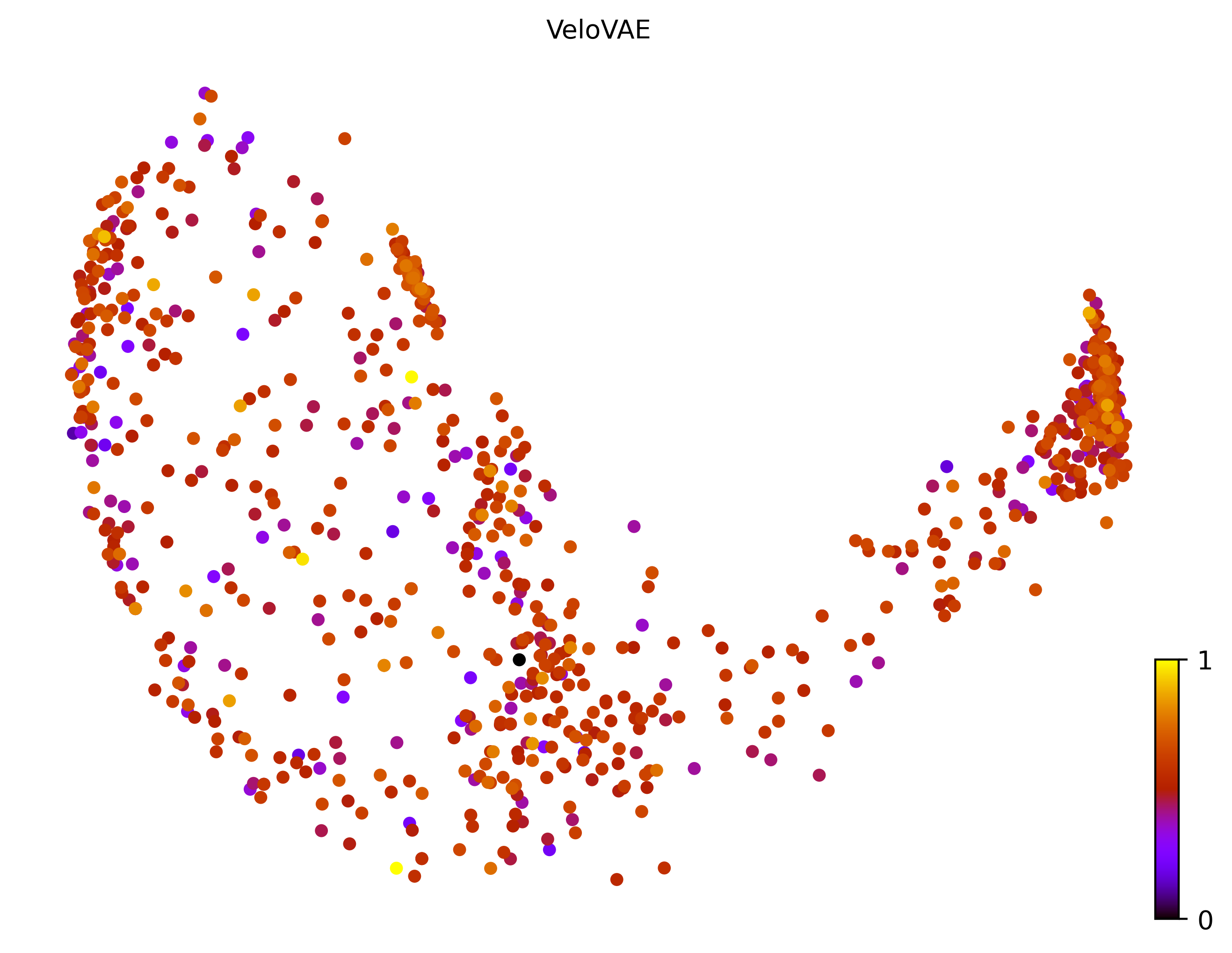 7_bifurcating_loop_cell1000_gene10000_pseudotime