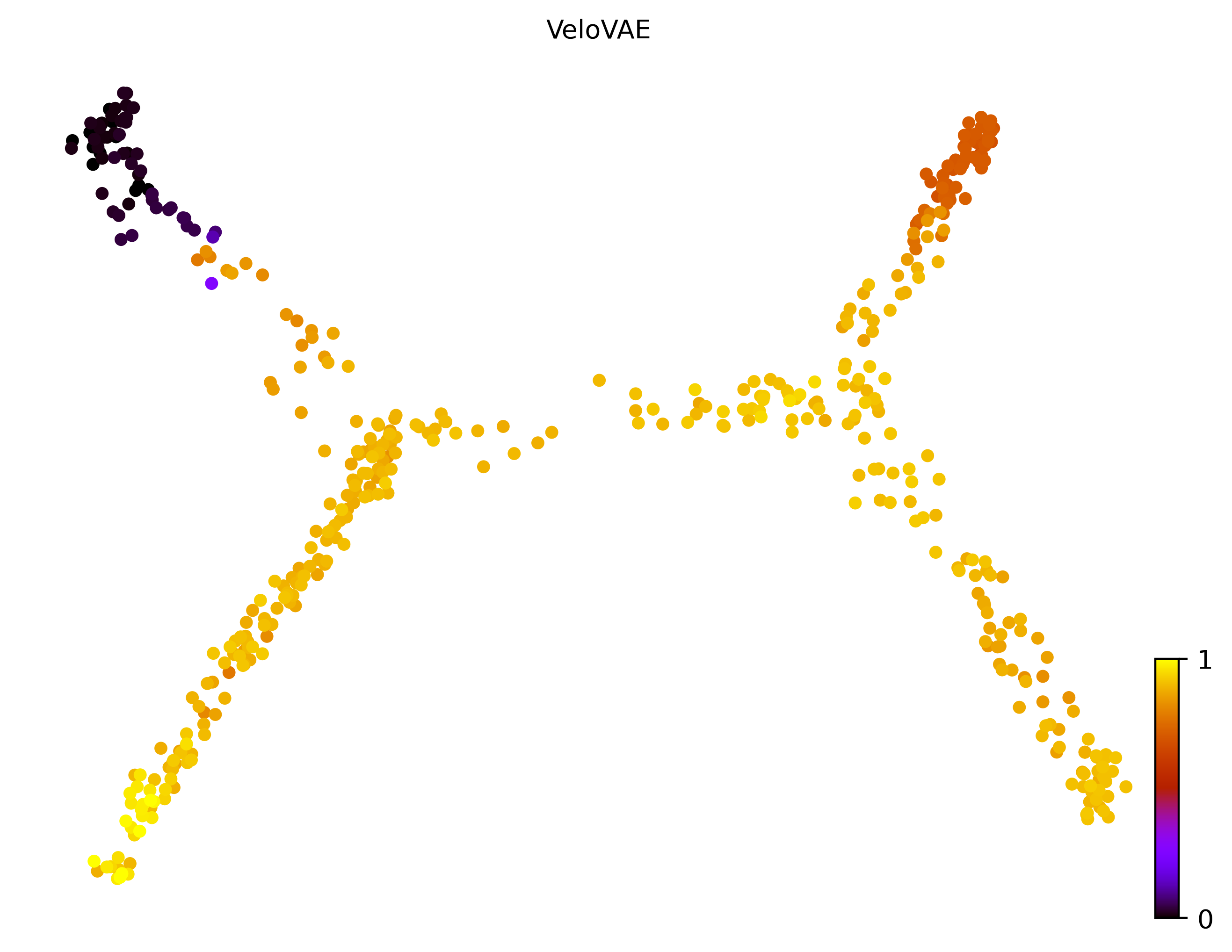 9_consecutive_bifurcating_cell500_gene10000_pseudotime