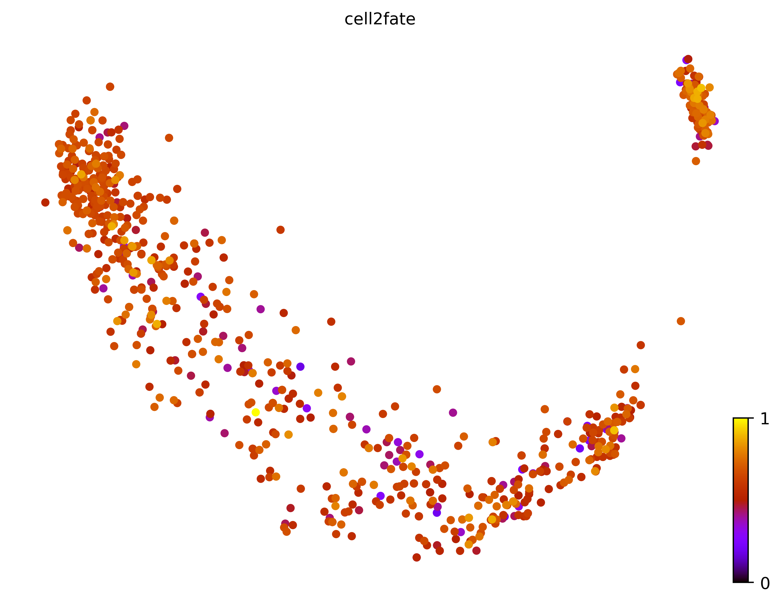 1_linear_simple_cell1000_gene10000_pseudotime
