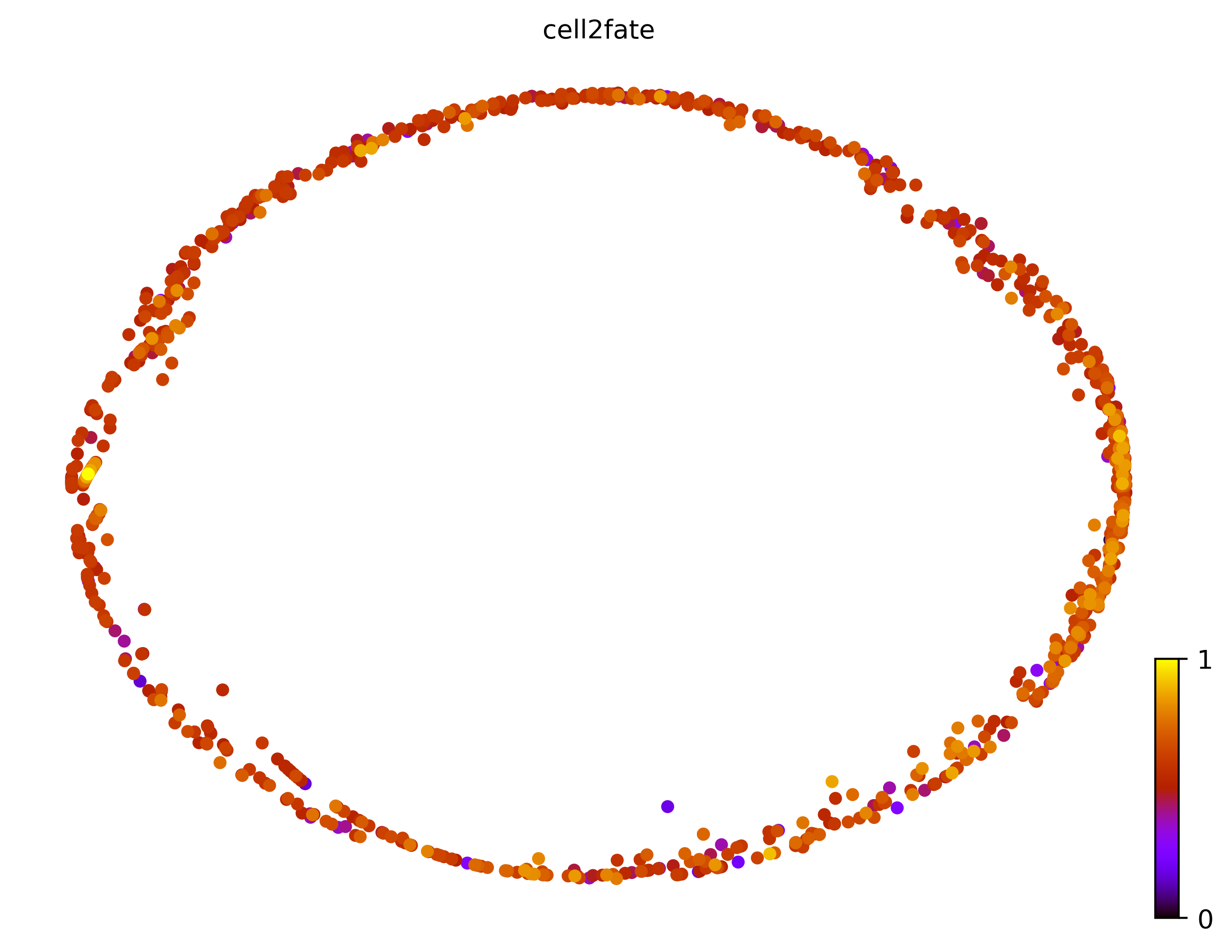 4_cycle_simple_cell1000_gene10000_pseudotime