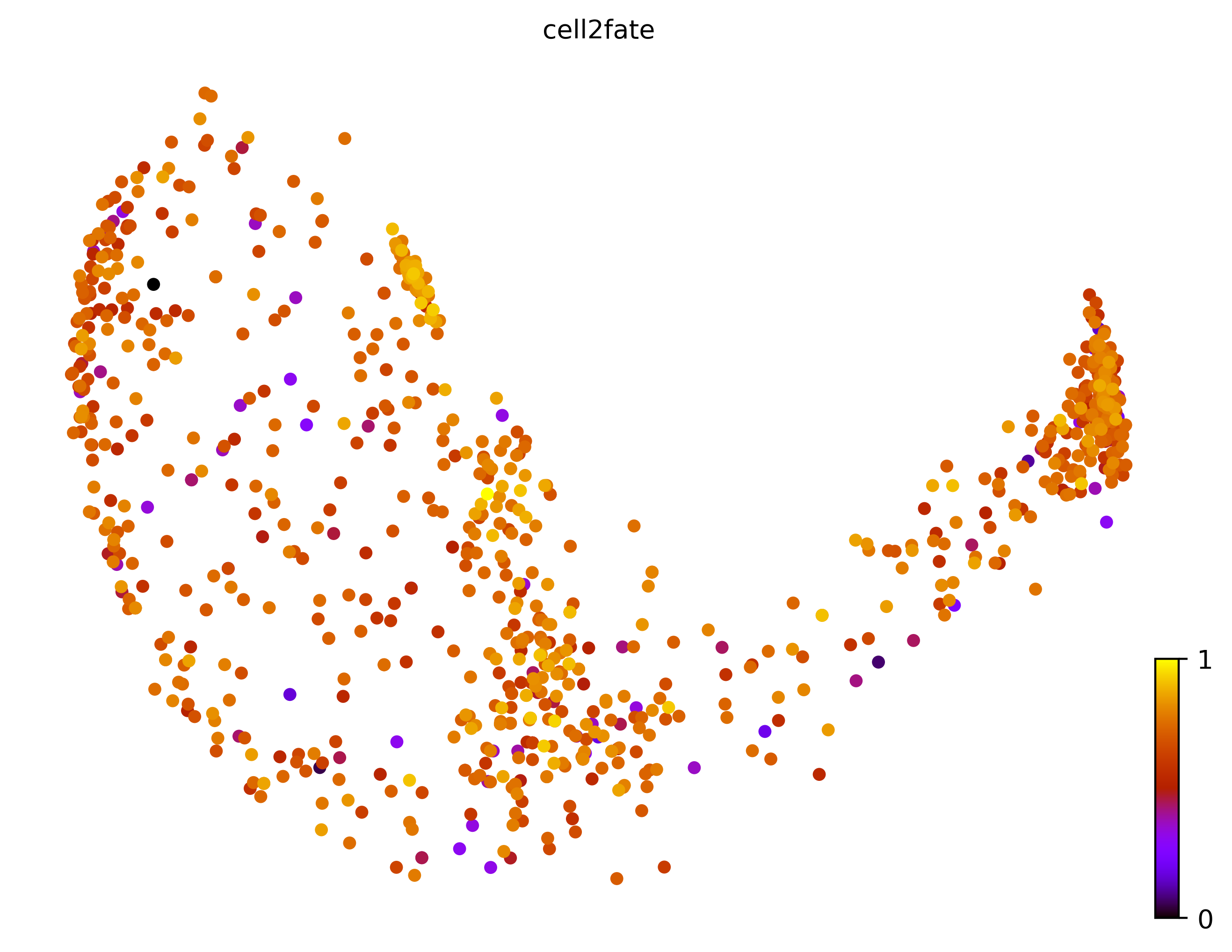 7_bifurcating_loop_cell1000_gene10000_pseudotime