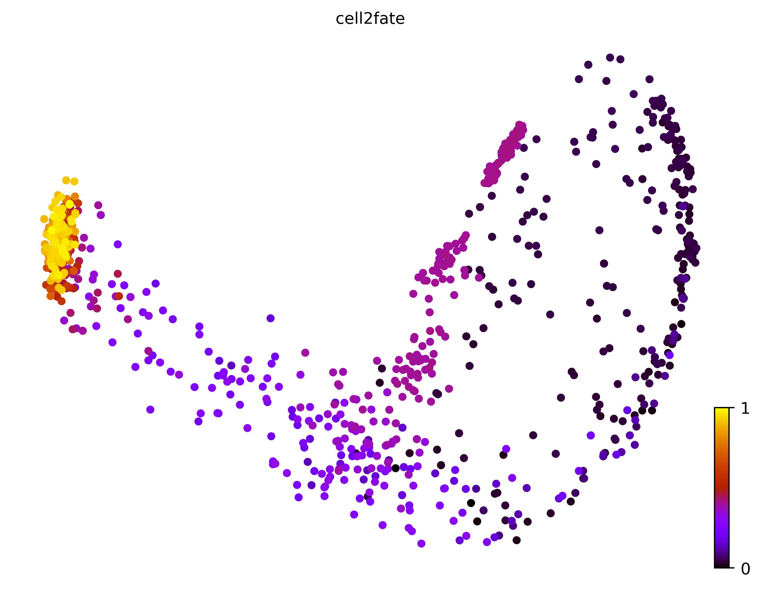 8_bifurcating_loop_cell1000_gene10000_pseudotime