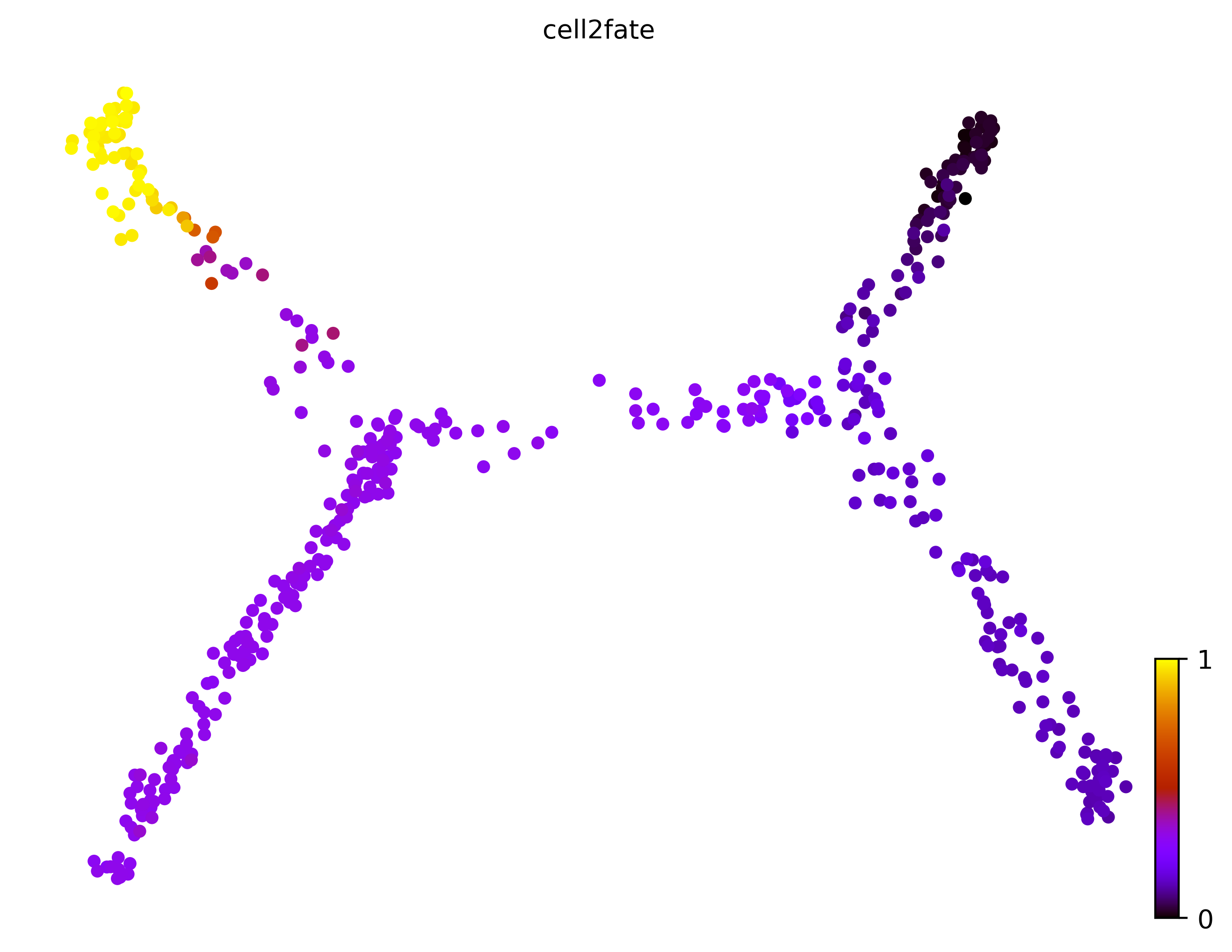 9_consecutive_bifurcating_cell500_gene10000_pseudotime