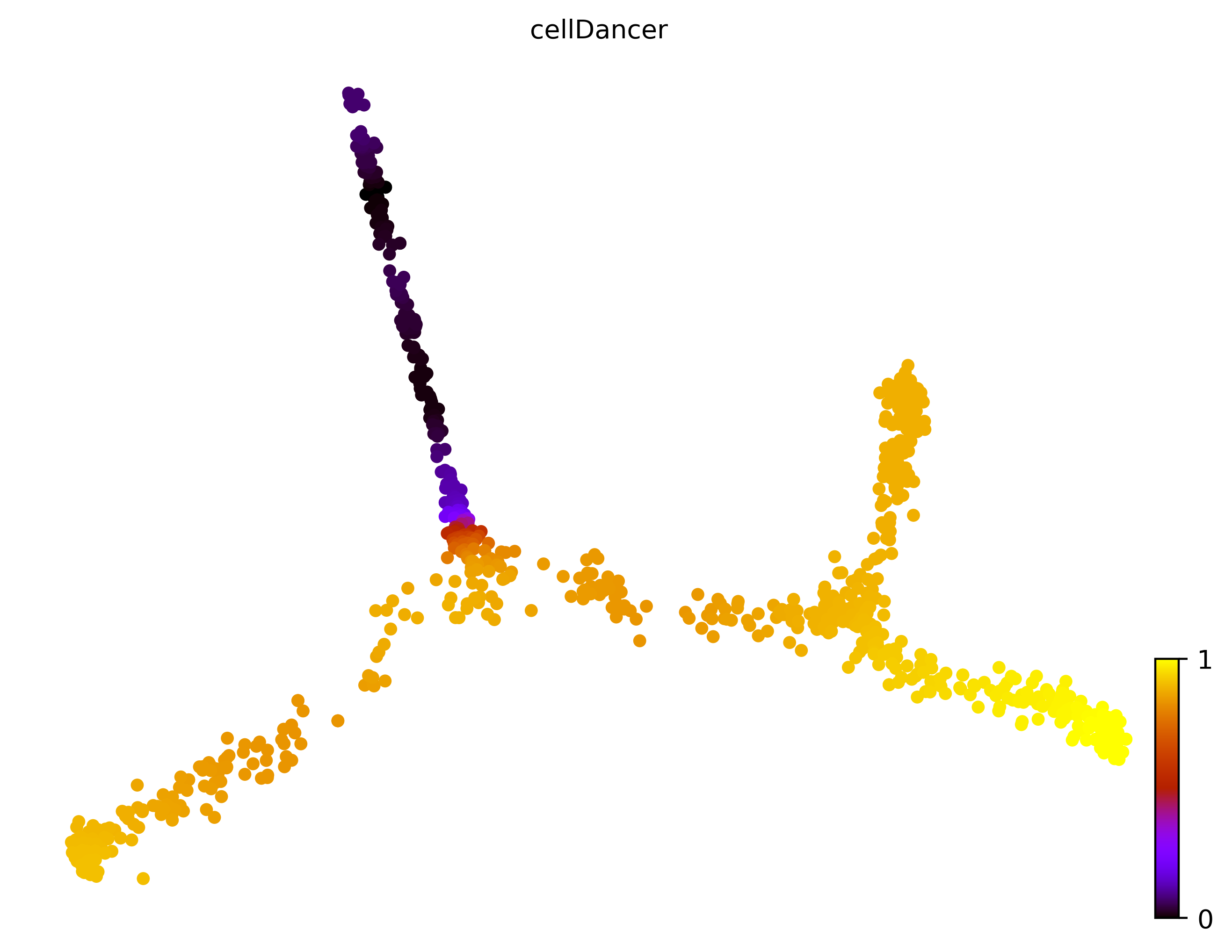 10_consecutive_bifurcating_cell1000_gene10000_pseudotime