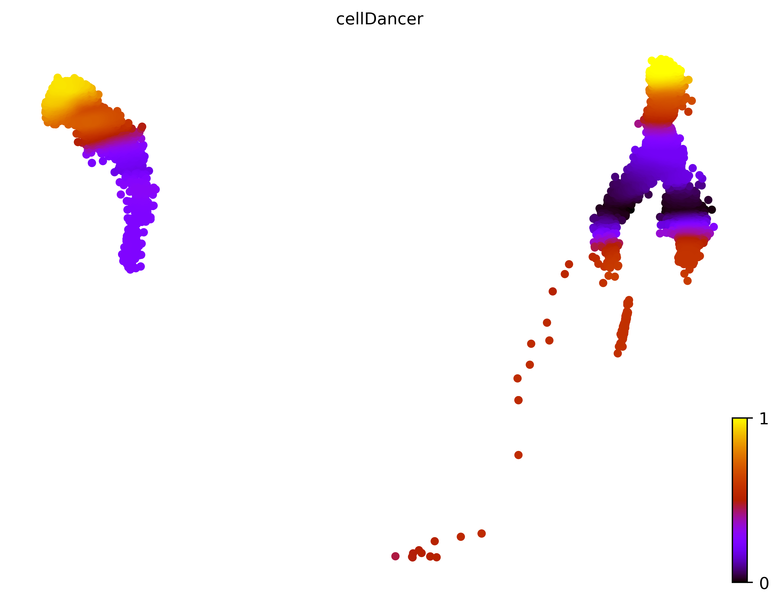 14_linear_bifurcating_cell10000_gene1000_pseudotime