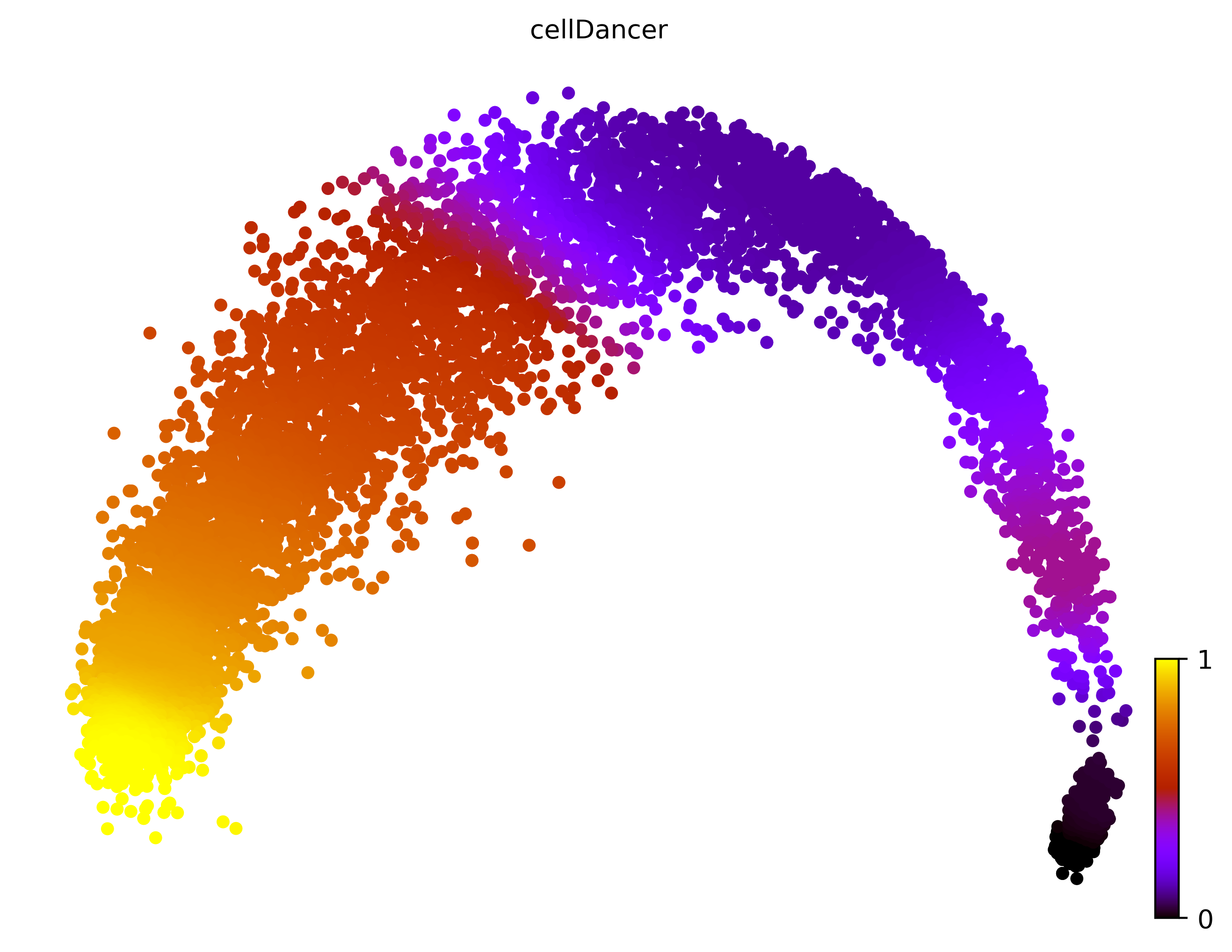 2_linear_simple_c10000_gene1000_pseudotime