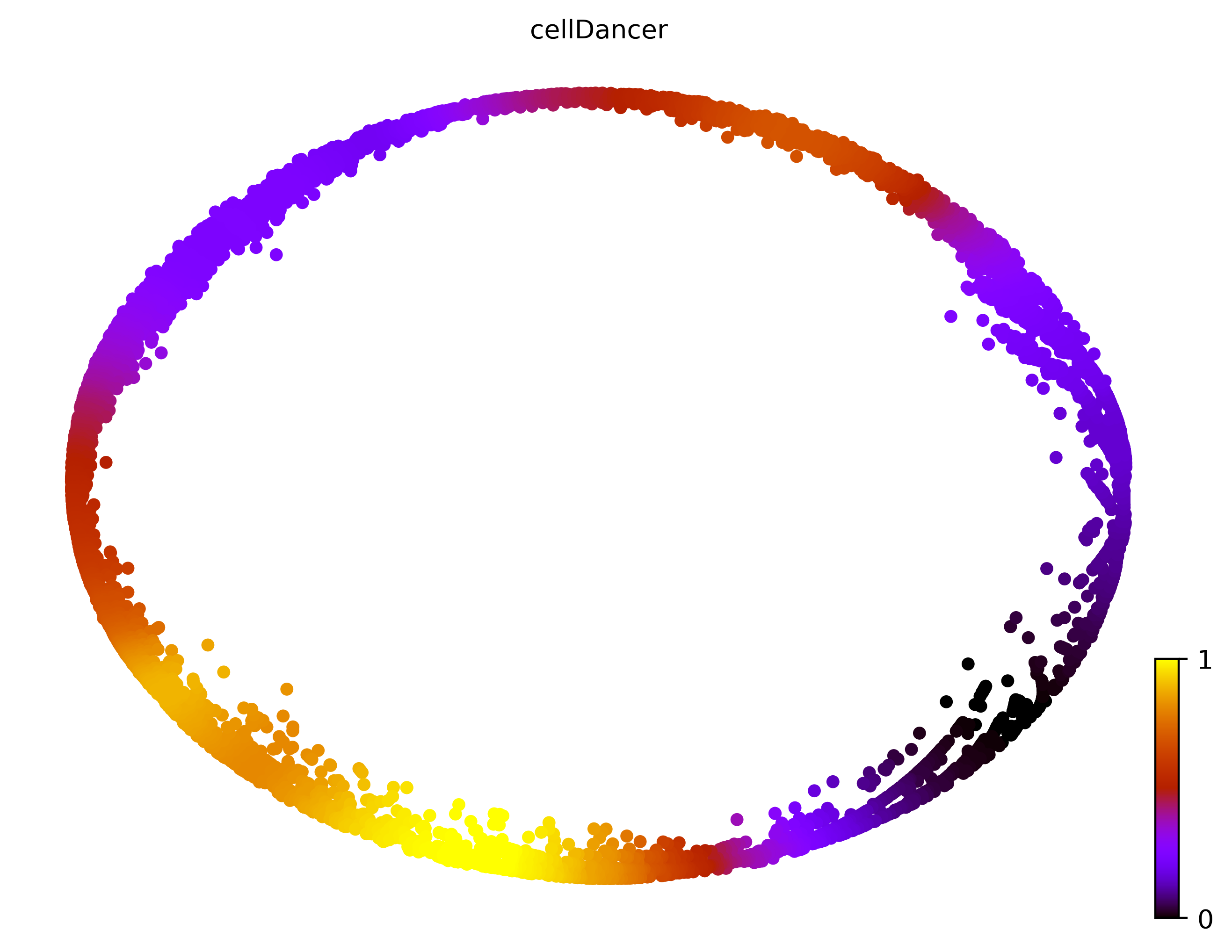 3_cycle_simple_cell10000_gene1000_pseudotime