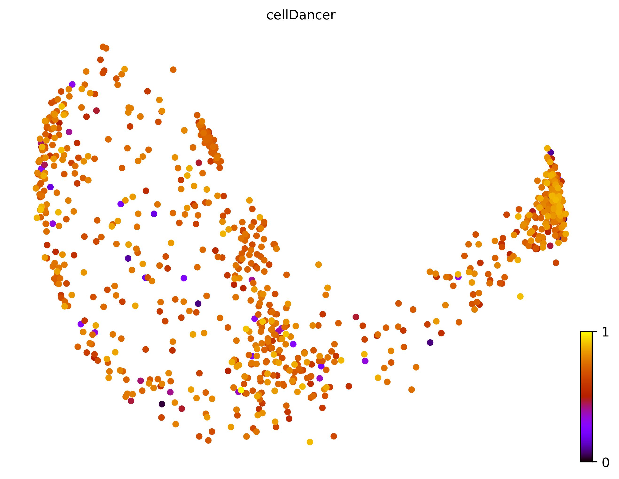 7_bifurcating_loop_cell1000_gene10000_pseudotime