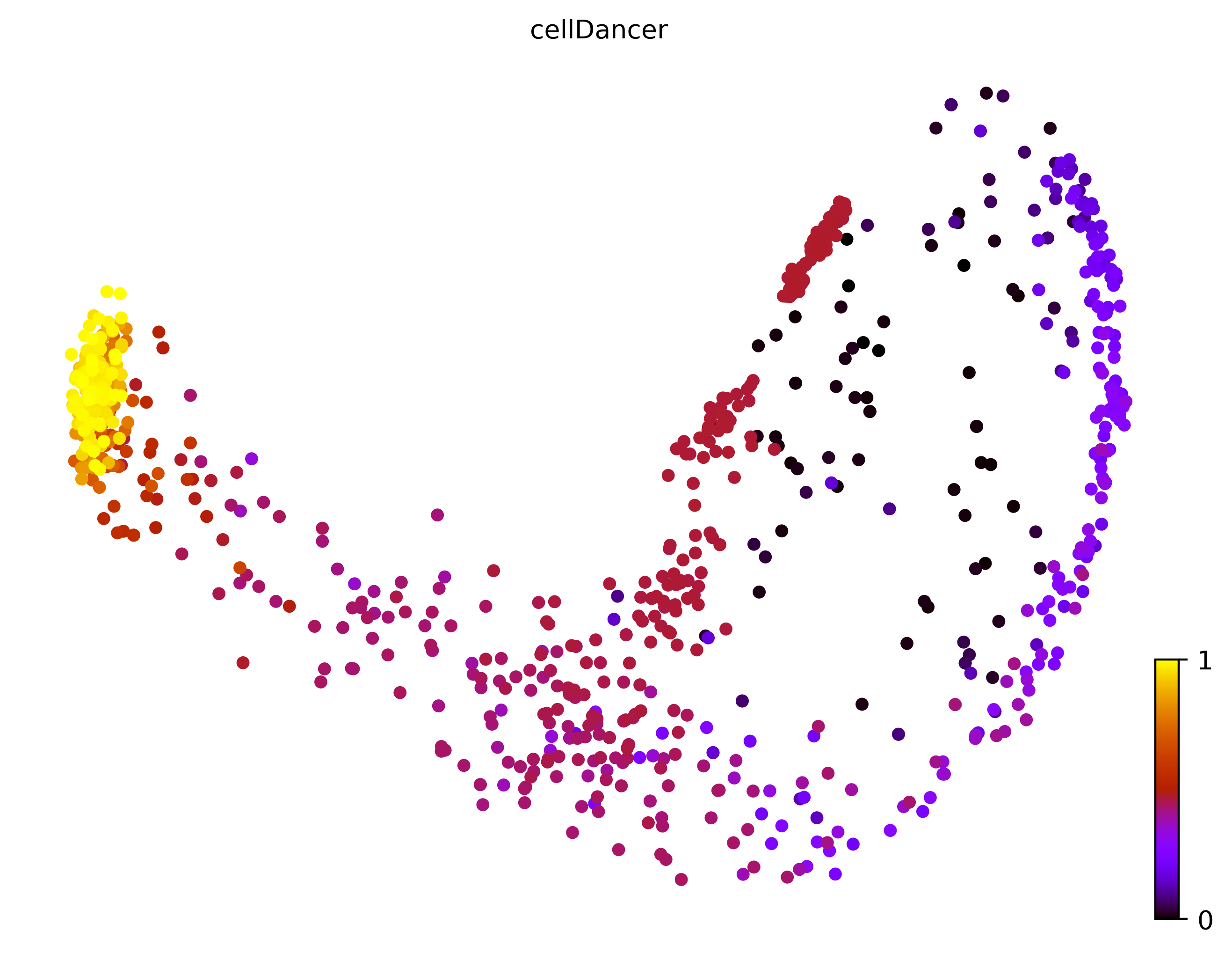 8_bifurcating_loop_cell1000_gene10000_pseudotime