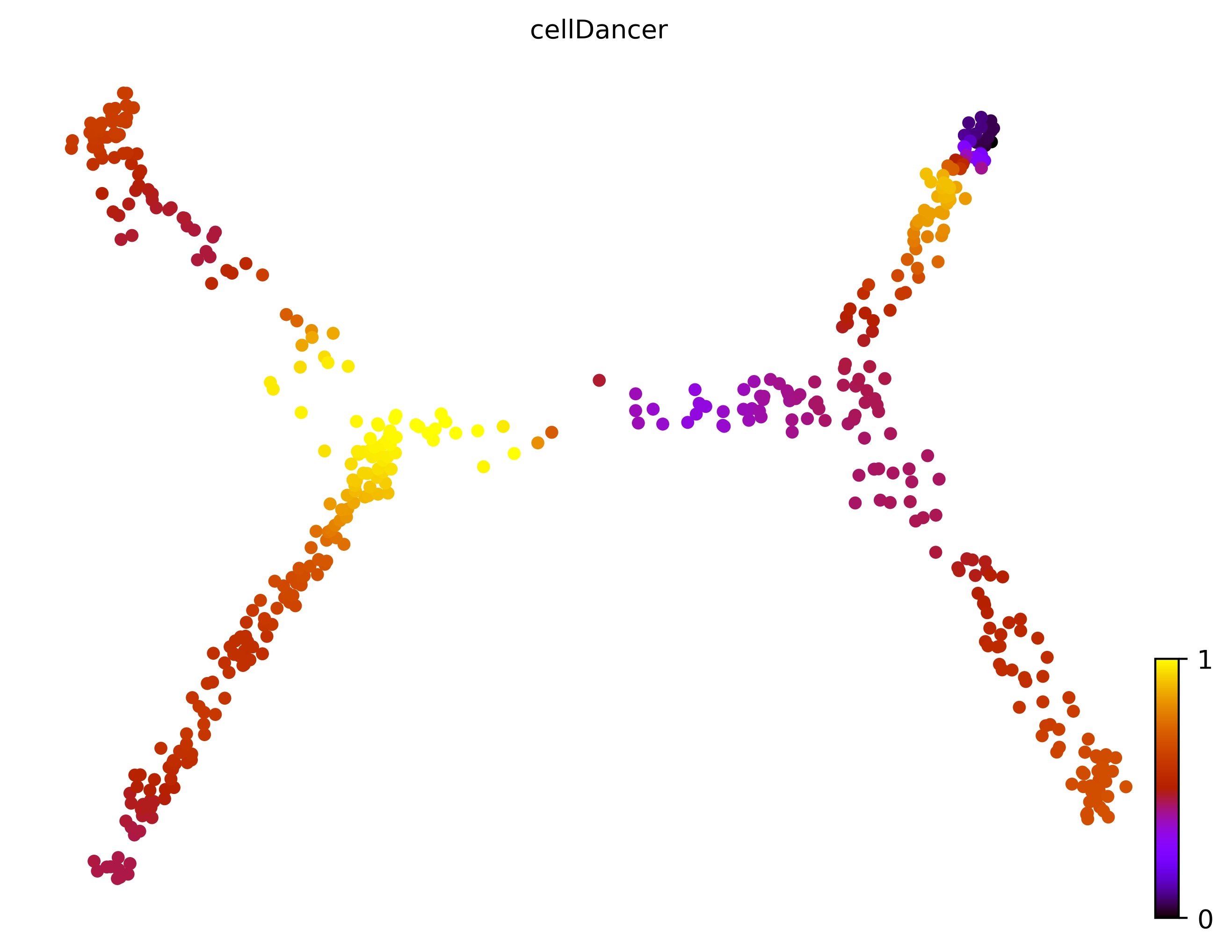 9_consecutive_bifurcating_cell500_gene10000_pseudotime