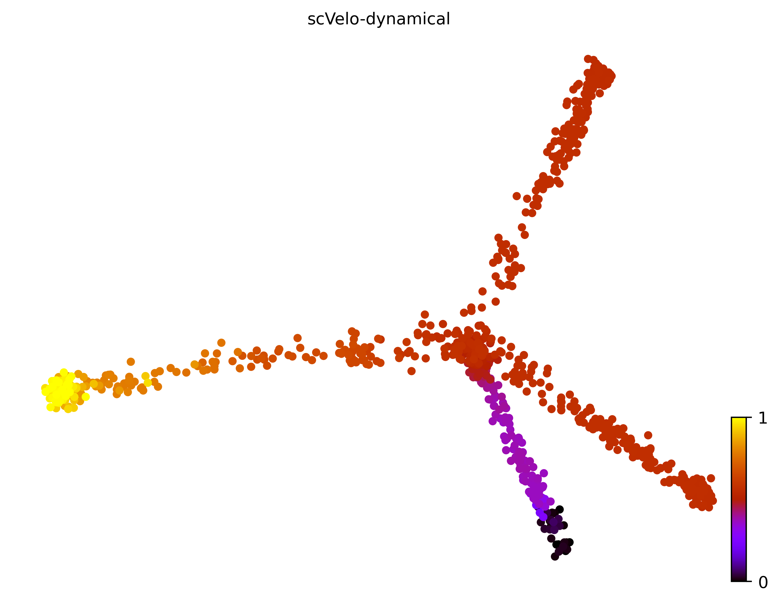 13_trifurcating_cell1000_gene10000_pseudotime