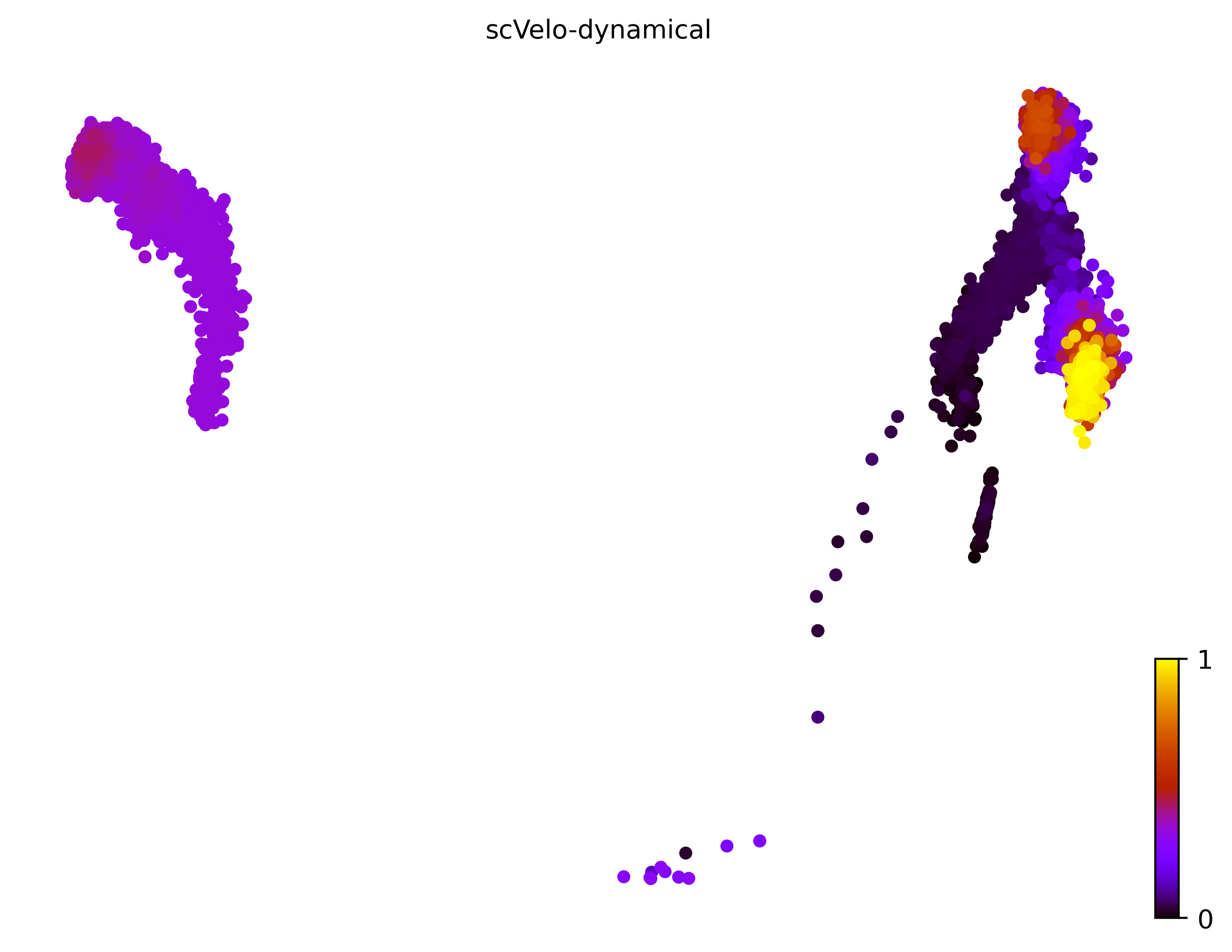 14_linear_bifurcating_cell10000_gene1000_pseudotime