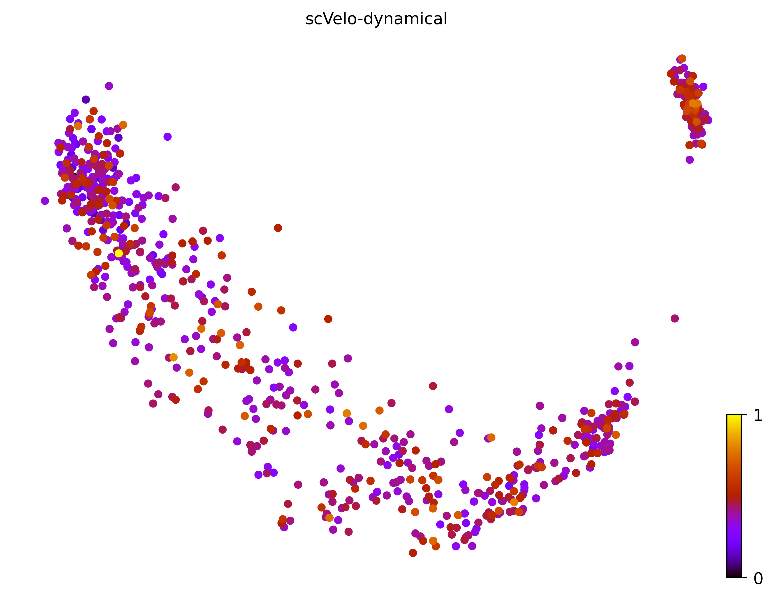 1_linear_simple_cell1000_gene10000_pseudotime