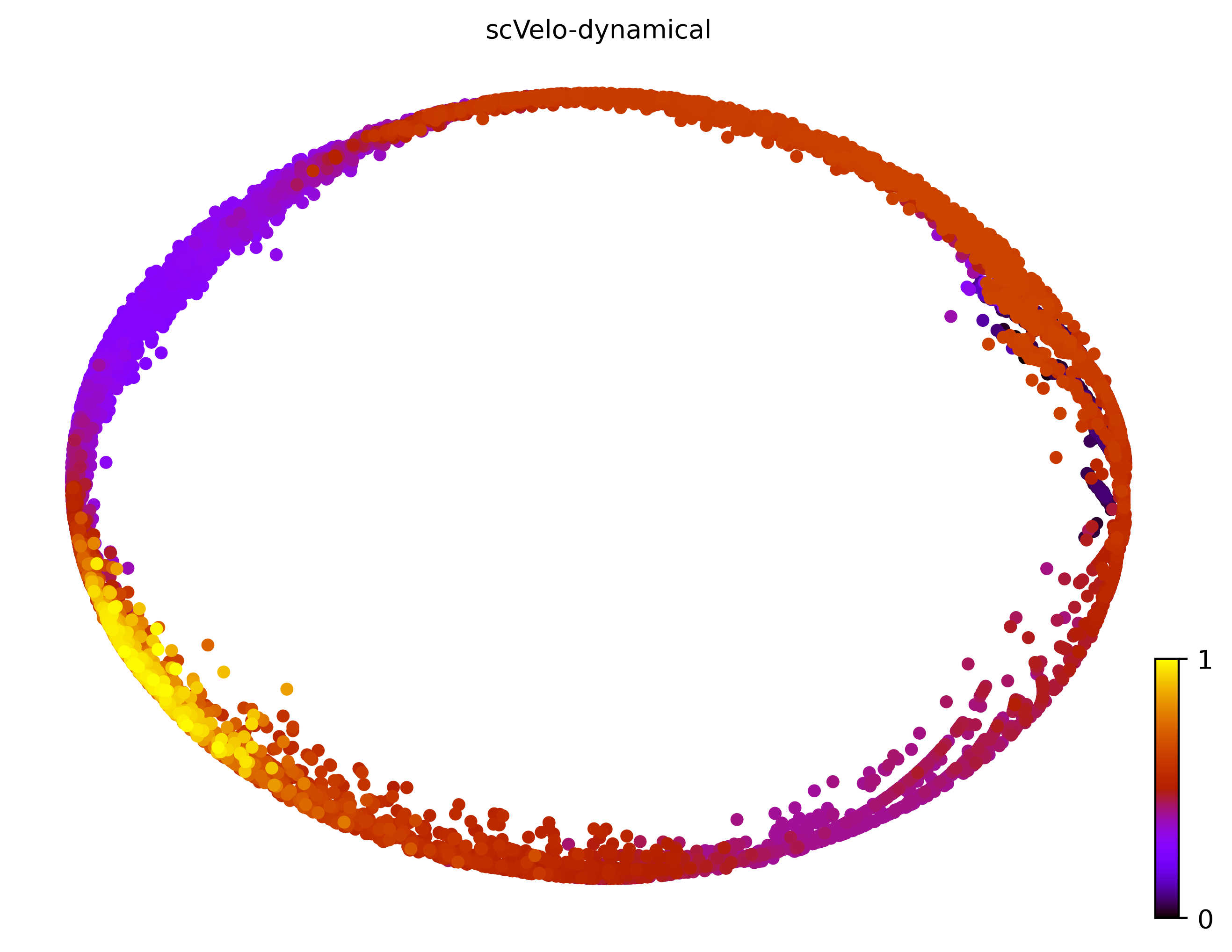 3_cycle_simple_cell10000_gene1000_pseudotime