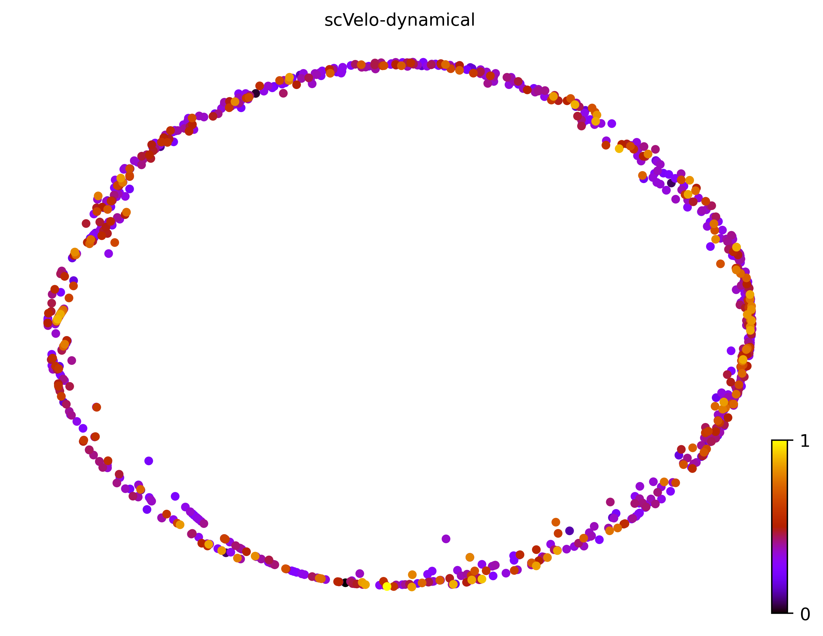 4_cycle_simple_cell1000_gene10000_pseudotime