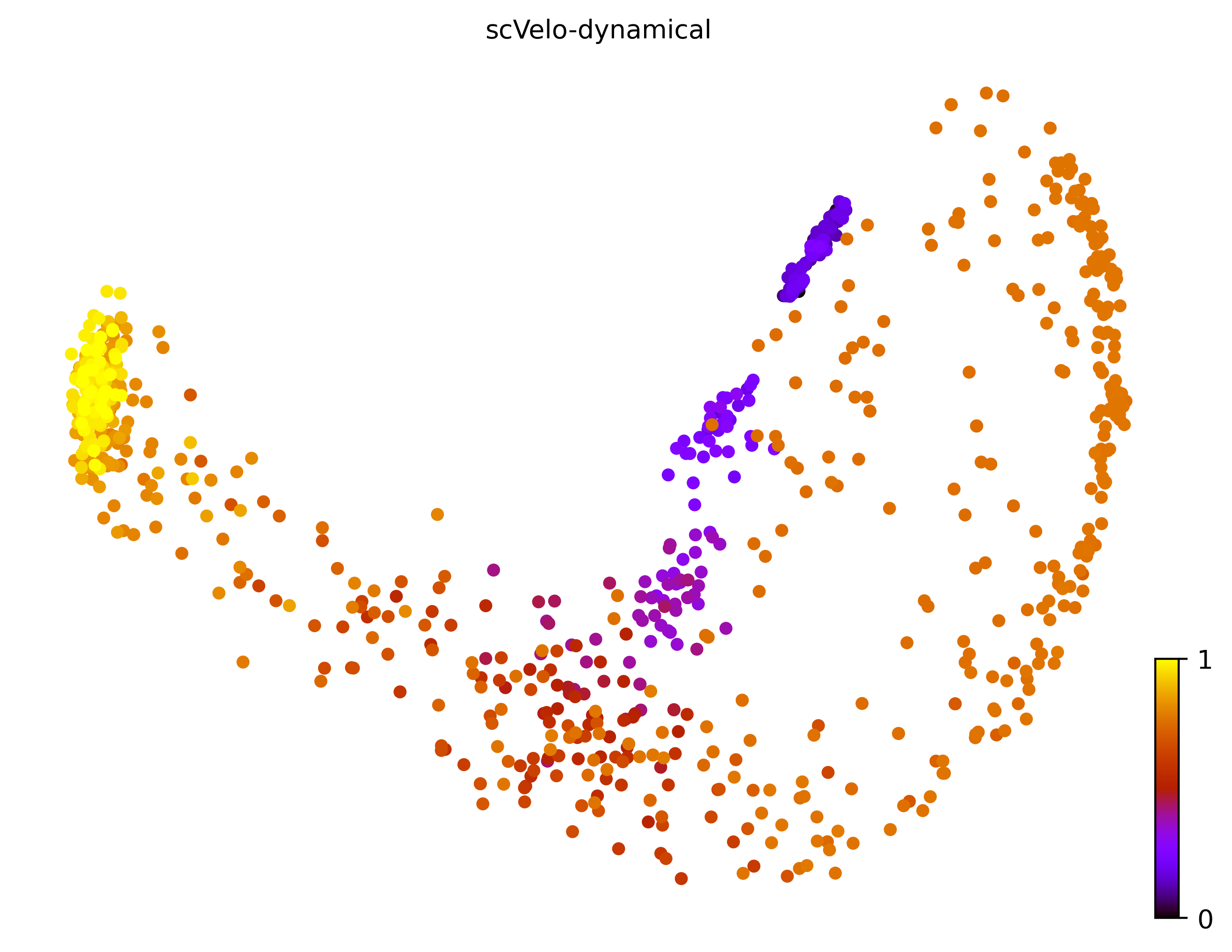 8_bifurcating_loop_cell1000_gene10000_pseudotime
