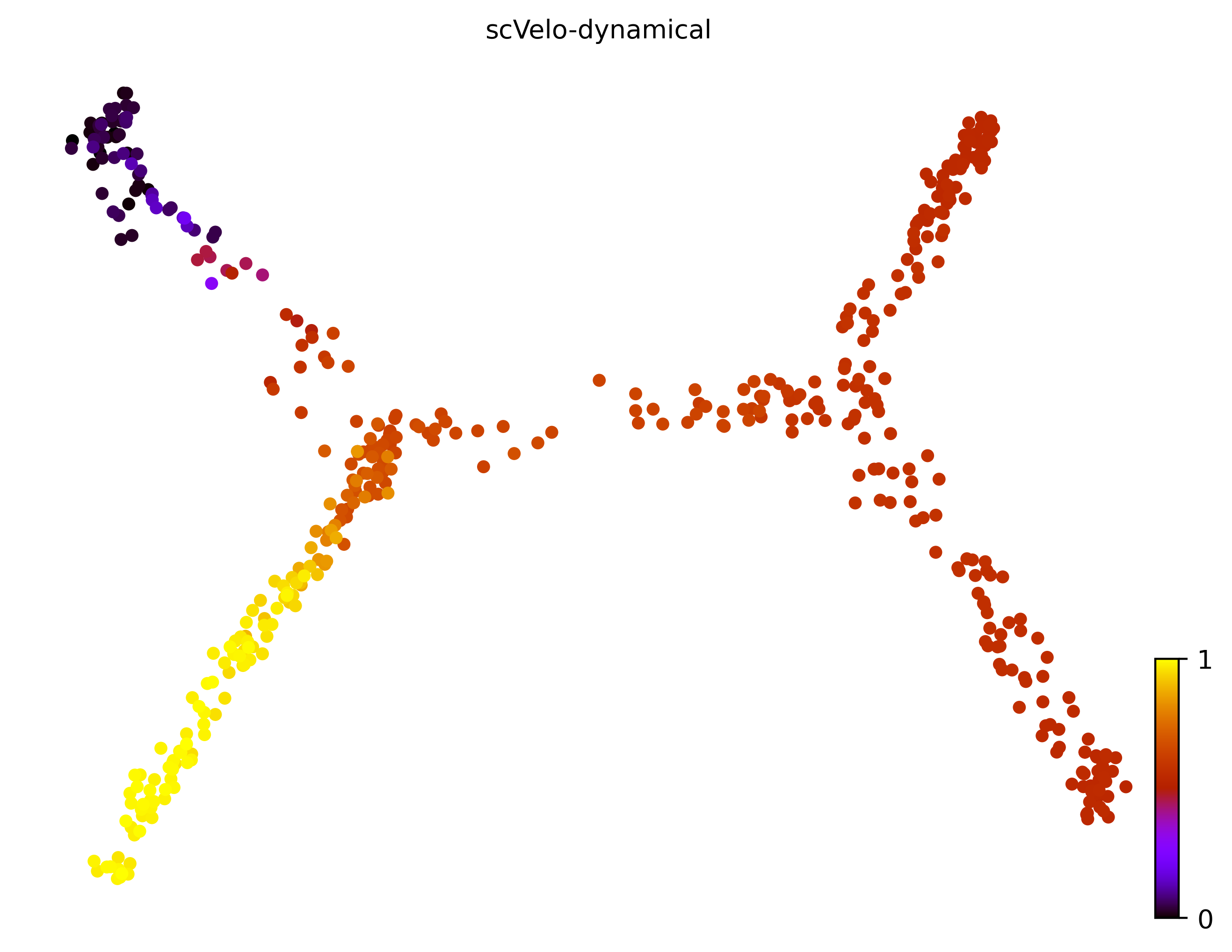 9_consecutive_bifurcating_cell500_gene10000_pseudotime