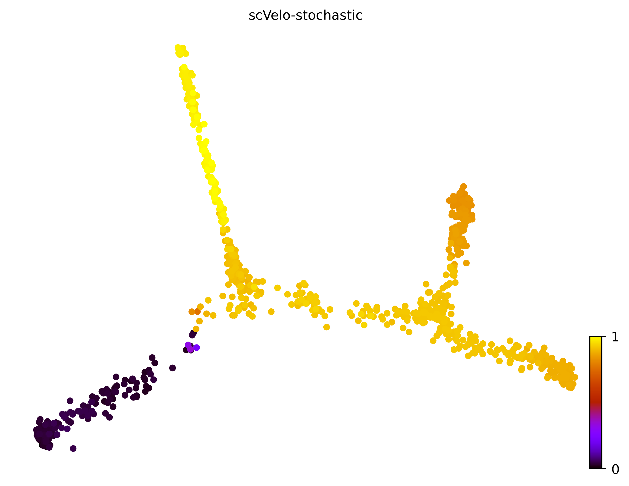 10_consecutive_bifurcating_cell1000_gene10000_pseudotime