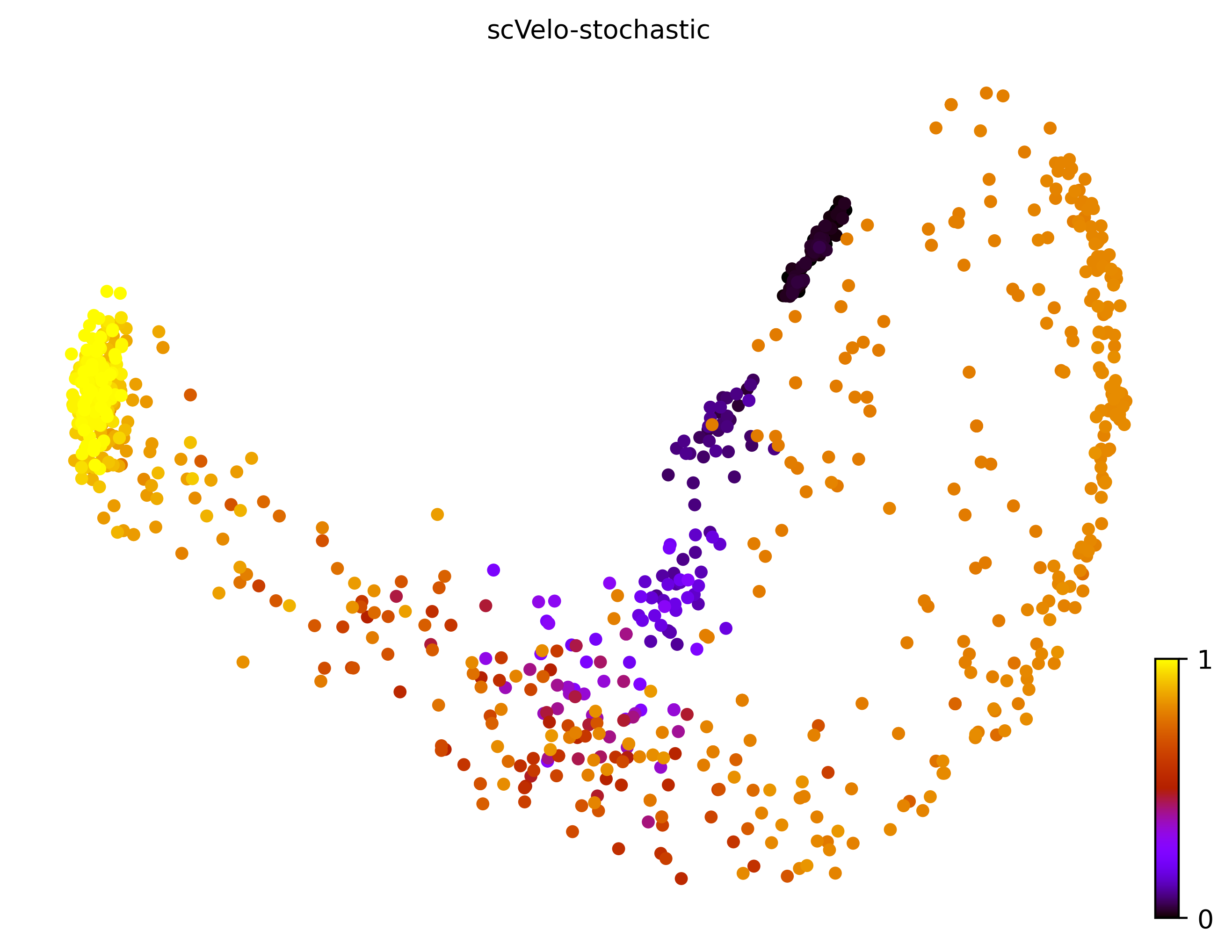 8_bifurcating_loop_cell1000_gene10000_pseudotime