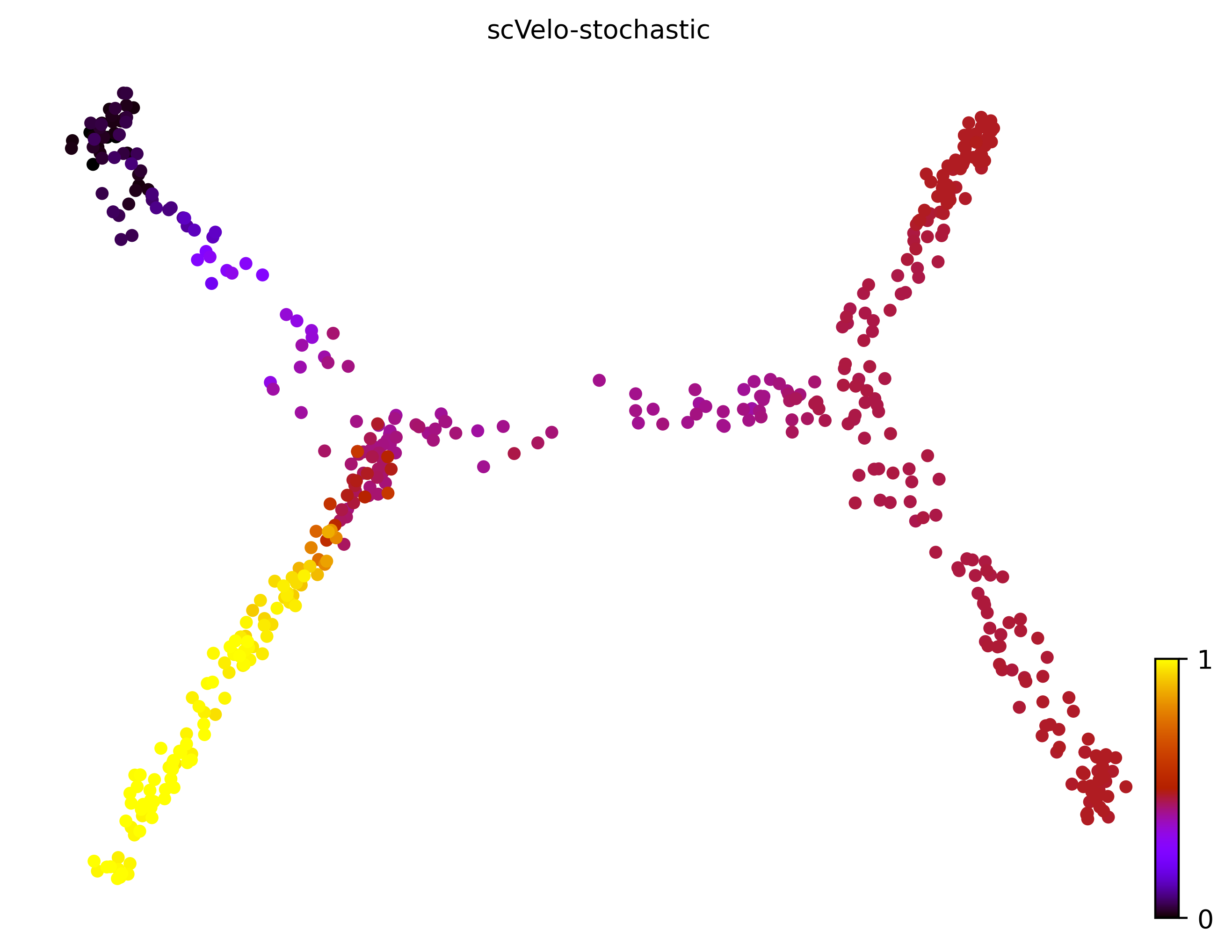 9_consecutive_bifurcating_cell500_gene10000_pseudotime