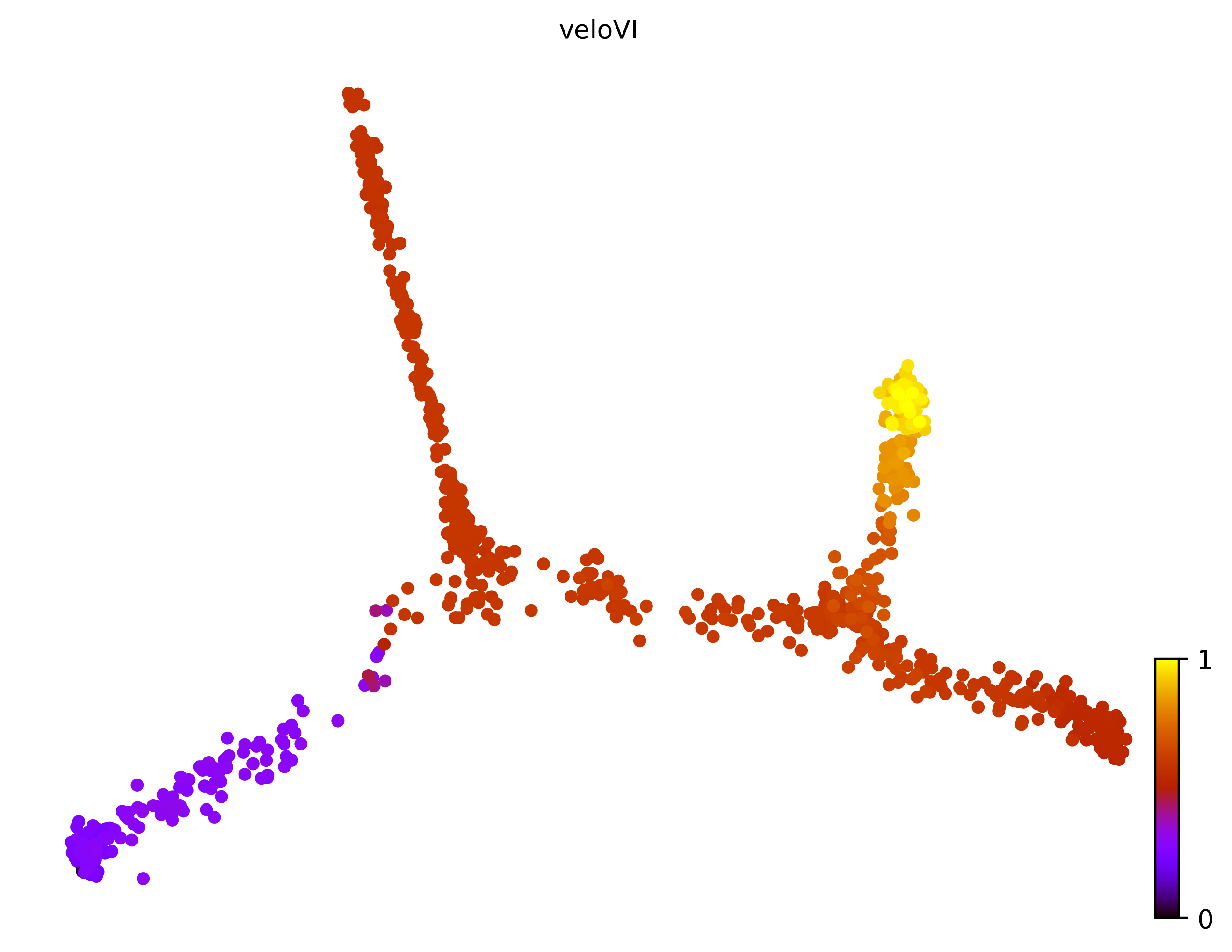 10_consecutive_bifurcating_cell1000_gene10000_pseudotime
