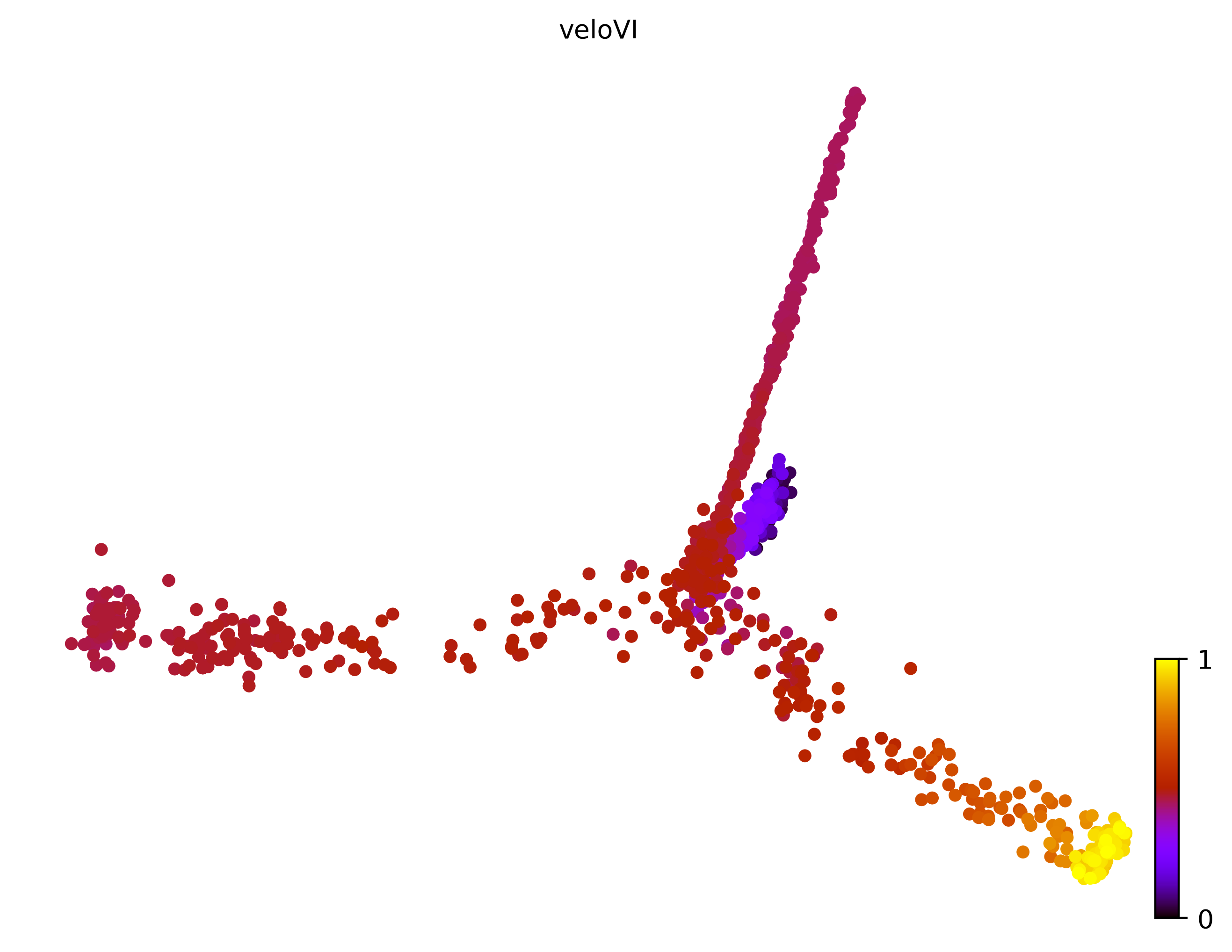 11_trifurcating_cell1000_gene10000_pseudotime