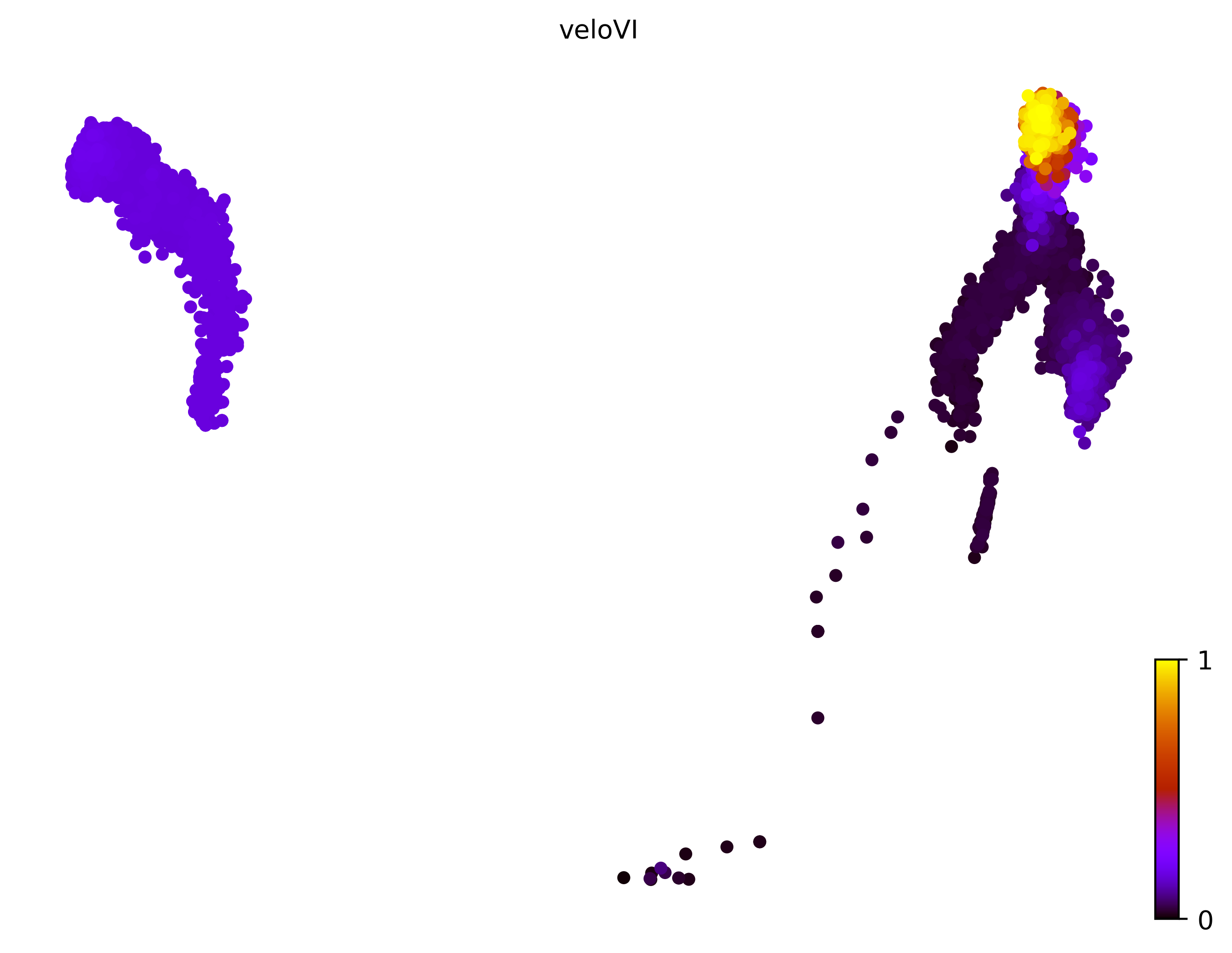 14_linear_bifurcating_cell10000_gene1000_pseudotime