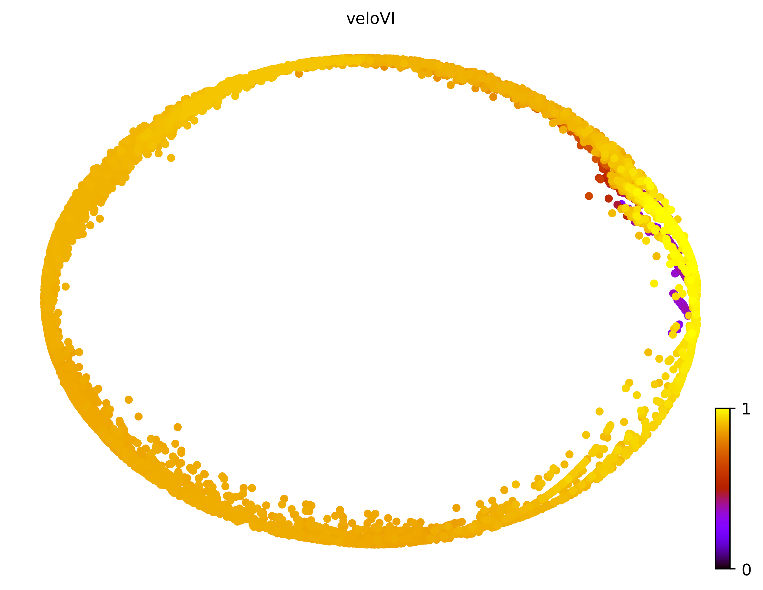 3_cycle_simple_cell10000_gene1000_pseudotime