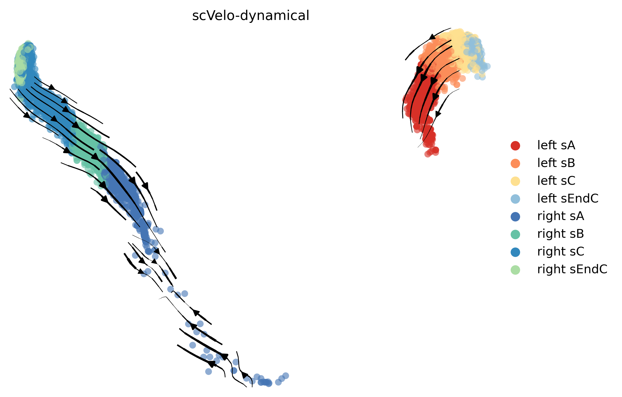 15_linear_linear_cell10000_gene500_stream