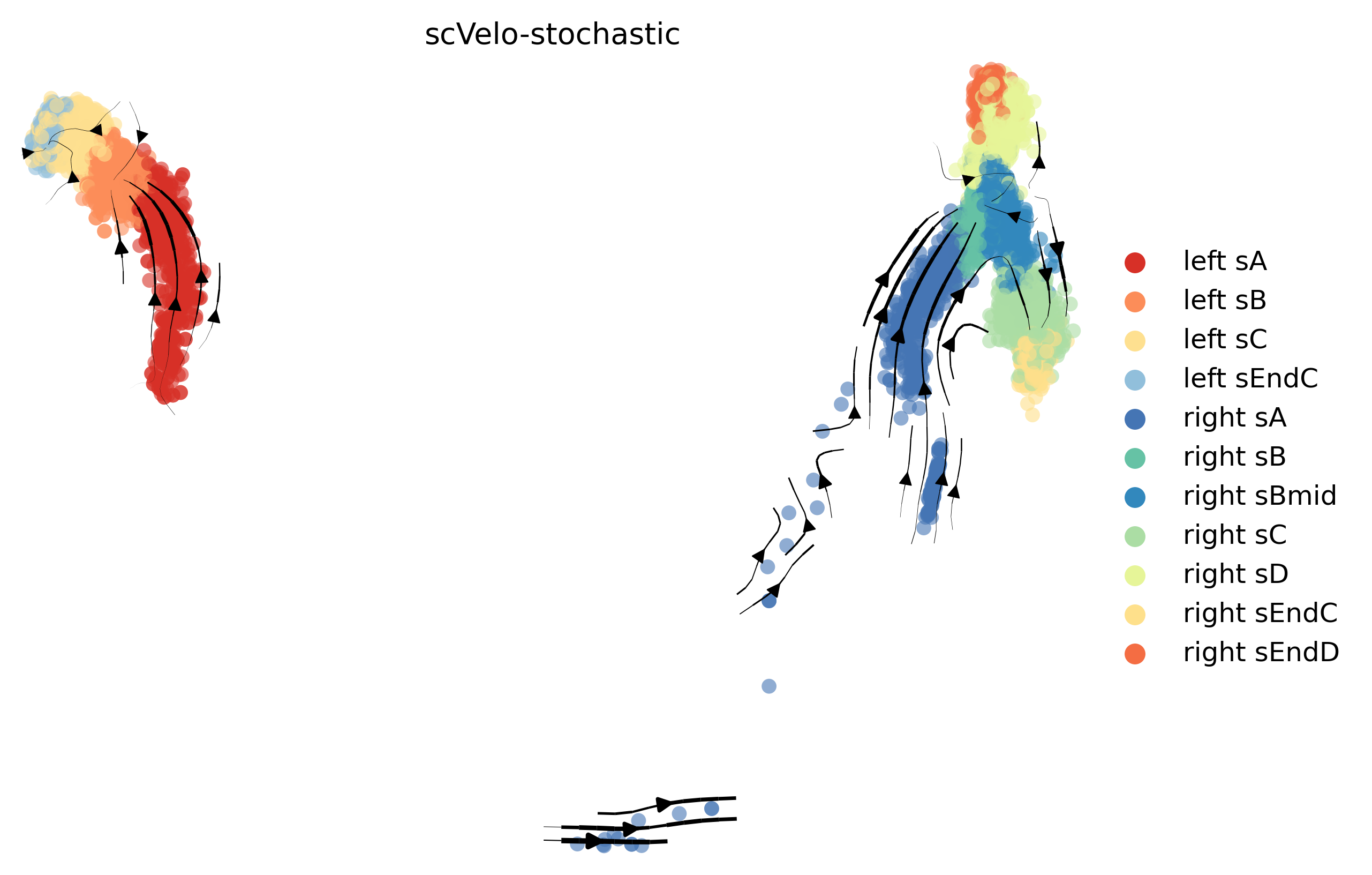 14_linear_bifurcating_cell10000_gene1000_stream