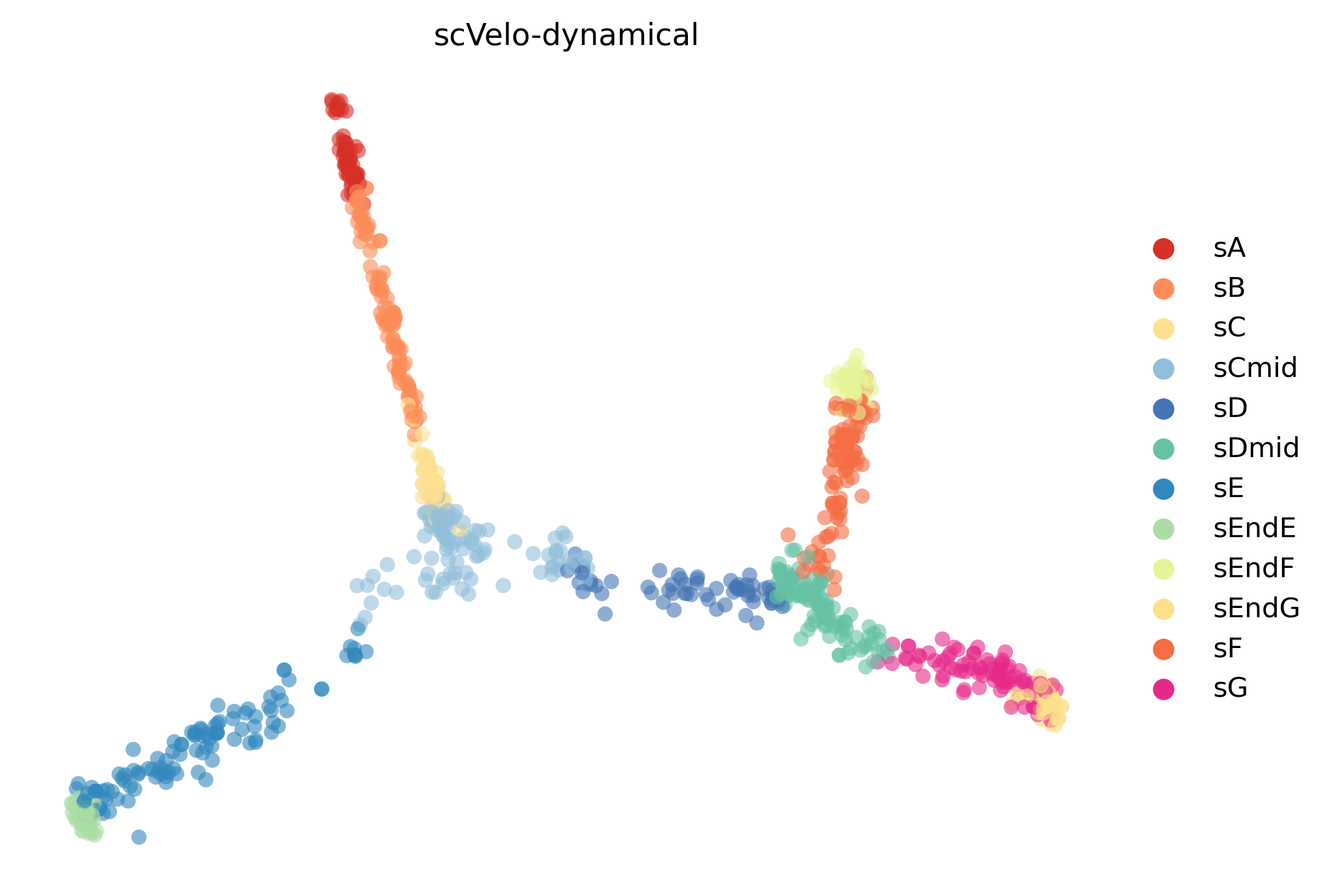 10_consecutive_bifurcating_cell1000_gene10000_umap