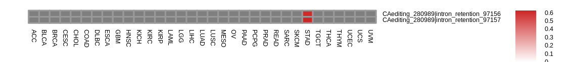 boxplot