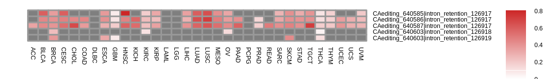 boxplot