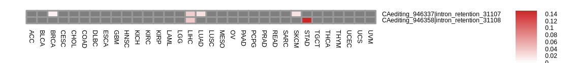 boxplot