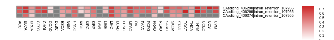 boxplot