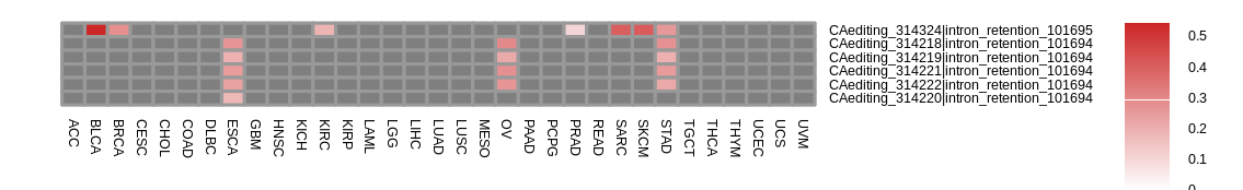 boxplot