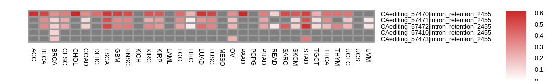 boxplot