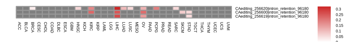 boxplot