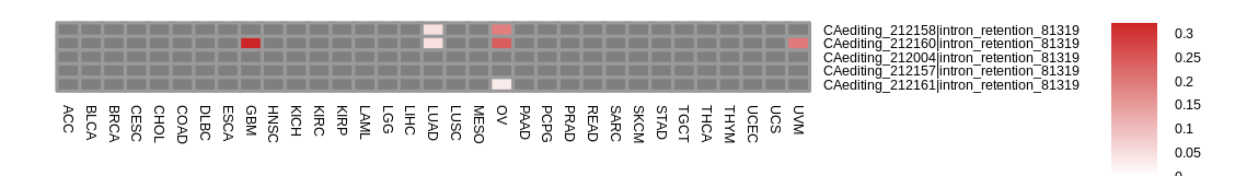 boxplot