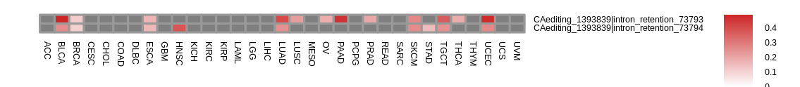 boxplot