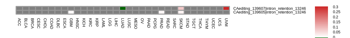 boxplot