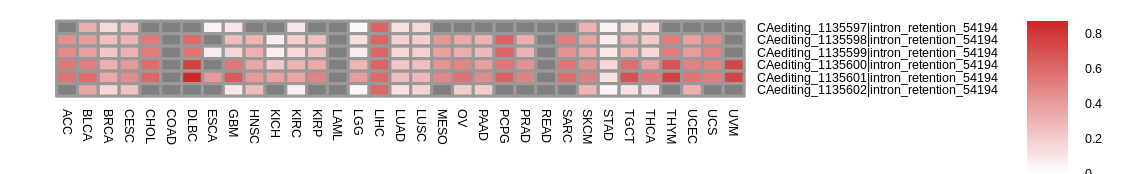 boxplot