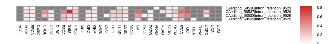 boxplot